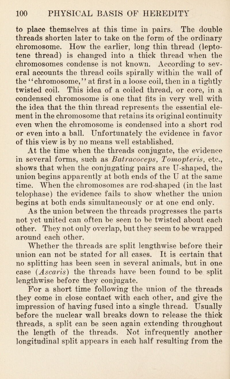 to place themselves at this time in pairs. The double threads shorten later to take on the form of the ordinary chromosome. How the earlier, long thin thread (iepto- tene thread) is changed into a thick thread when the chromosomes condense is not known. According to sev- eral accounts the thread coils spirally within the wall of the i 1 chromosome, ’ * at first in a loose coil, then in a tightly twisted coil. This idea of a coiled thread, or core, in a condensed chromosome is one that fits in very well with the idea that the thin thread represents the essential ele- ment in the chromosome that retains its original continuity even when the chromosome is condensed into a short rod or even into a ball. Unfortunately the evidence in favor of this view is by no means well established. At the time when the threads conjugate, the evidence in several forms, such as Batracoceps, Tomopteris, etc., shows that when the conjugating pairs are U-shaped, the union begins apparently at both ends of the U at the same time. When the chromosomes are rod-shaped (in the last telophase) the evidence fails to show whether the union begins at both ends simultaneously or at one end only. As the union between the threads progresses the parts not yet united can often be seen to be twisted about each other. They not only overlap, but they seem to be wrapped around each other. Whether the threads are split lengthwise before their union can not be stated for all cases. It is certain that no splitting has been seen in several animals, but in one case (Ascaris) the threads have been found to be split lengthwise before they conjugate. For a short time following the union of the threads they come in close contact with each other, and give the impression of having fused into a single thread. Usually before the nuclear wall breaks down to release the thick threads, a split can be seen again extending throughout the length of the threads. Not infrequently another longitudinal split appears in each half resulting from the