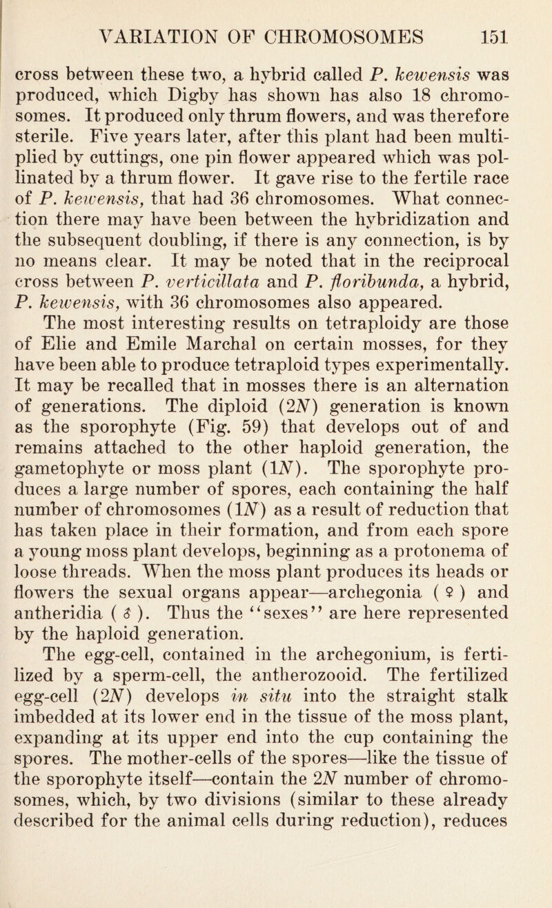 cross between these two, a hybrid called P. kewensis was produced, which Digby has shown has also 18 chromo- somes. It produced only thrum flowers, and was therefore sterile. Five years later, after this plant had been multi- plied by cuttings, one pin flower appeared which was pol- linated by a thrum flower. It gave rise to the fertile race of P. keivensis, that had 36 chromosomes. What connec- tion there may have been between the hybridization and the subsequent doubling, if there is any connection, is by no means clear. It may be noted that in the reciprocal cross between P. verticillata and P. floribunda, a hybrid, P. keivensis, with 36 chromosomes also appeared. The most interesting results on tetraploidy are those of Elie and Emile Marchal on certain mosses, for they have been able to produce tetraploid types experimentally. It may be recalled that in mosses there is an alternation of generations. The diploid (2V) generation is known as the sporophyte (Fig. 59) that develops out of and remains attached to the other haploid generation, the gametophyte or moss plant (IV). The sporophyte pro- duces a large number of spores, each containing the half number of chromosomes (IV) as a result of reduction that has taken place in their formation, and from each spore a young moss plant develops, beginning as a protonema of loose threads. When the moss plant produces its heads or flowers the sexual organs appear—archegonia ( 2 ) and antheridia ( $ ). Thus the 4 ‘ sexes’ ’ are here represented by the haploid generation. The egg-cell, contained in the archegonium, is ferti- lized by a sperm-cell, the antherozooid. The fertilized egg-cell (2V) develops in situ into the straight stalk imbedded at its lower end in the tissue of the moss plant, expanding at its upper end into the cup containing the spores. The mother-cells of the spores—like the tissue of the sporophyte itself—contain the 2V number of chromo- somes, which, by two divisions (similar to these already described for the animal cells during reduction), reduces