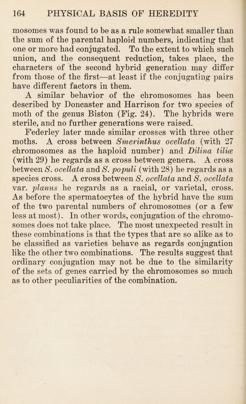 mosomes was found to be as a rule somewhat smaller than the sum of the parental haploid numbers, indicating that one or more had conjugated. To the extent to which such union, and the consequent reduction, takes place, the characters of the second hybrid generation may differ from those of the first—at least if the conjugating pairs have different factors in them. A similar behavior of the chromosomes has been described by Doncaster and Harrison for two species of moth of the genus Biston (Fig. 24). The hybrids were sterile, and no further generations were raised. Federley later made similar crosses with three other moths. A cross between Smerinthus ocellata (with 27 chromosomes as the haploid number) and Dilina tilice (with 29) he regards as a cross between genera. A cross between 8. ocellata and 8. populi (with 28) he regards as a species cross. A cross between S. ocellata and S. ocellata var. planus he regards as a racial, or varietal, cross. As before the spermatocytes of the hybrid have the sum of the two parental numbers of chromosomes (or a few less at most). In other words, conjugation of the chromo- somes does not take place. The most unexpected result in these combinations is that the types that are so alike as to be classified as varieties behave as regards conjugation like the other two combinations. The results suggest that ordinary conjugation may not be due to the similarity of the sets of genes carried by the chromosomes so much as to other peculiarities of the combination.