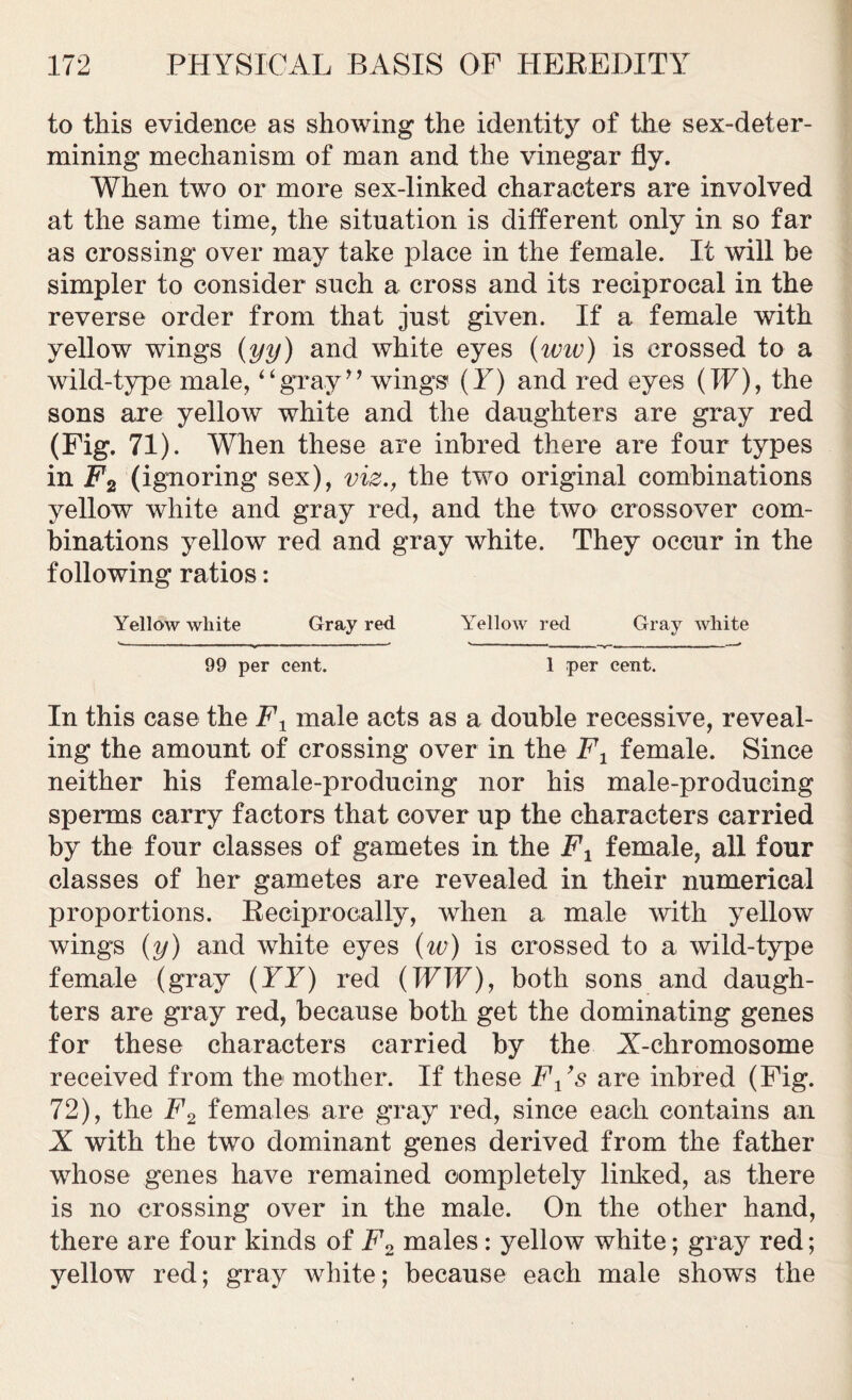 to this evidence as showing the identity of the sex-deter- mining mechanism of man and the vinegar fly. When two or more sex-linked characters are involved at the same time, the situation is different only in so far as crossing over may take place in the female. It will be simpler to consider such a cross and its reciprocal in the reverse order from that just given. If a female with yellow wings (yy) and white eyes (wiv) is crossed to a wild-type male, “gray” wings (Y) and red eyes (IF), the sons are yellow white and the daughters are gray red (Fig. 71). When these are inbred there are four types in #2 (ignoring sex), viz., the two original combinations yellow white and gray red, and the two crossover com- binations yellow red and gray white. They occur in the following ratios: Yellow white Gray red Yellow red Gray white 99 per cent. 1 per cent. In this case the Fx male acts as a double recessive, reveal- ing the amount of crossing over in the F1 female. Since neither his female-producing nor his male-producing sperms carry factors that cover up the characters carried by the four classes of gametes in the Ft female, all four classes of her gametes are revealed in their numerical proportions. Reciprocally, when a male with yellow wings (y) and white eyes (w) is crossed to a wild-type female (gray (TT) red (TFTF), both sons and daugh- ters are gray red, because both get the dominating genes for these characters carried by the X-chromosome received from the mother. If these Fx’s are inbred (Fig. 72), the F2 females are gray red, since each contains an X with the two dominant genes derived from the father whose genes have remained completely linked, as there is no crossing over in the male. On the other hand, there are four kinds of F2 males: yellow white; gray red; yellow red; gray white; because each male shows the