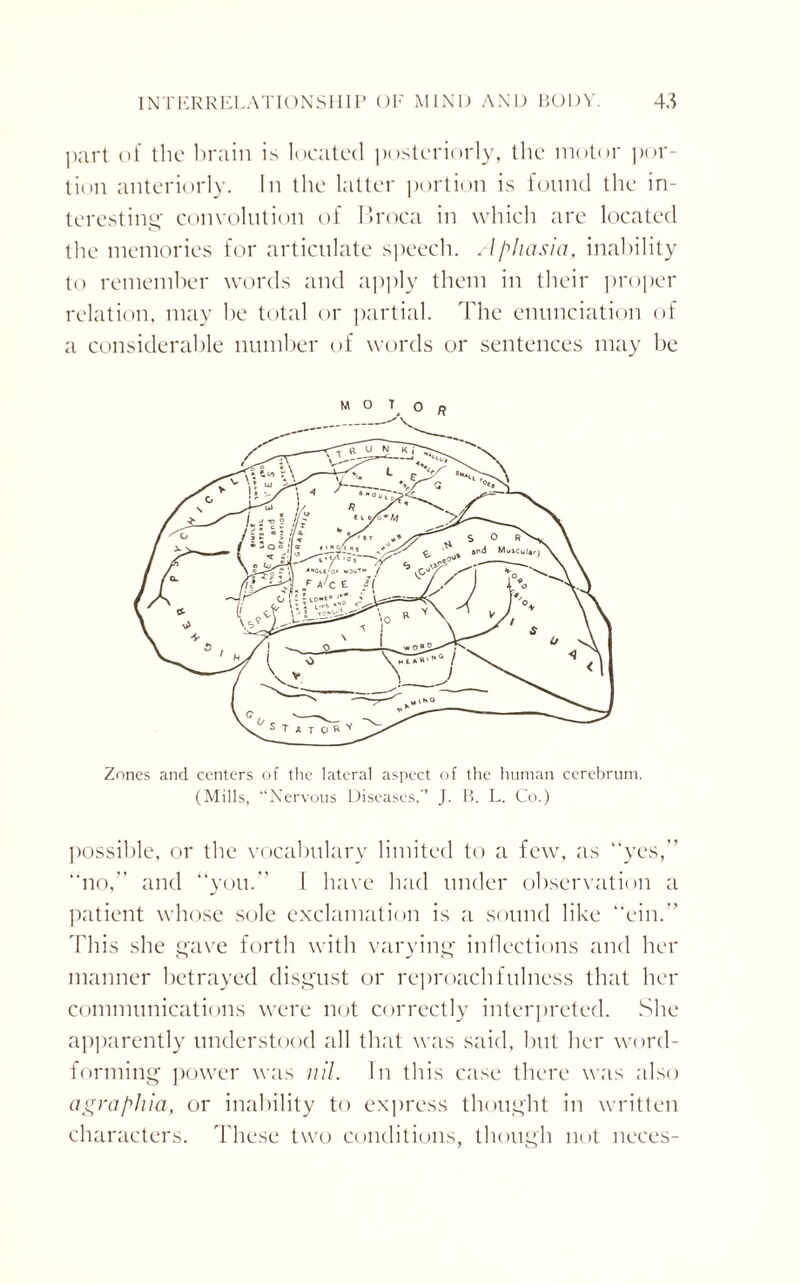 part of the brain is located posteriorly, the motor por¬ tion anteriorly. In the latter portion is found the in¬ teresting convolution of Broca in which are located the memories for articulate speech. Aphasia, inability to remember words and apply them in their proper relation, may be total or partial. The enunciation of a considerable number of words or sentences may be Zones and centers of the lateral aspect of the human cerebrum. (Mills, “Nervous Diseases,’’ J. B. L. Co.) possible, or the vocabulary limited to a few, as “yes,” “no,” and “you.” 1 have had under observation a patient whose sole exclamation is a sound like “ein.” This she gave forth with varying inflections and her manner betrayed disgust or reproachfulness that her communications were not correctly interpreted. She apparently understood all that was said, hut her word¬ forming power was nil. In this case there was also agraphia, or inability to express thought in written characters. These two conditions, though not neces-