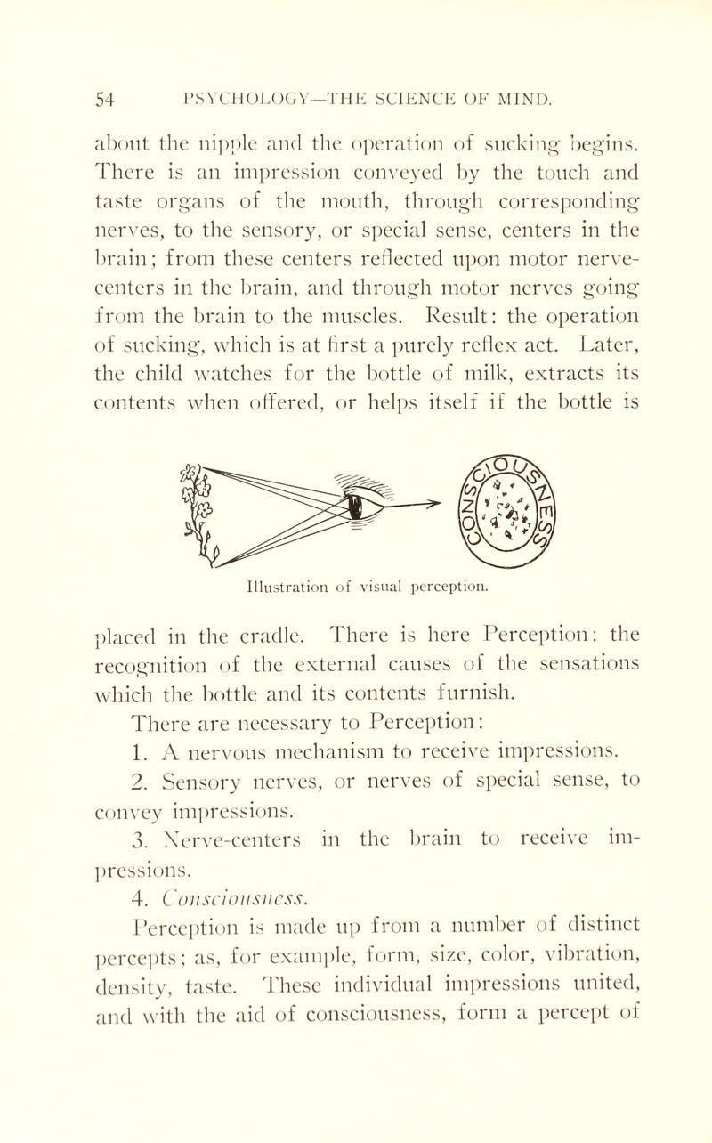 about the nipple and the operation of sucking begins. There is an impression conveyed by the touch and taste organs of the mouth, through corresponding nerves, to the sensory, or special sense, centers in the brain; from these centers reflected upon motor nerve- centers in the brain, and through motor nerves going from the brain to the muscles. Result: the operation of sucking, which is at first a purely reflex act. Later, the child watches for the bottle of milk, extracts its contents when offered, or helps itself if the bottle is Illustration of visual perception. placed in the cradle. There is here Perception: the recognition of the external causes of the sensations which the bottle and its contents furnish. There are necessary to Perception: 1. A nervous mechanism to receive impressions. 2. Sensory nerves, or nerves of special sense, to convey impressions. 3. Nerve-centers in the brain to receive im¬ pressions. 4. Consciousness. Perception is made up from a number of distinct percepts; as, for example, form, size, color, vibration, density, taste. These individual impressions united, and with the aid of consciousness, form a percept of