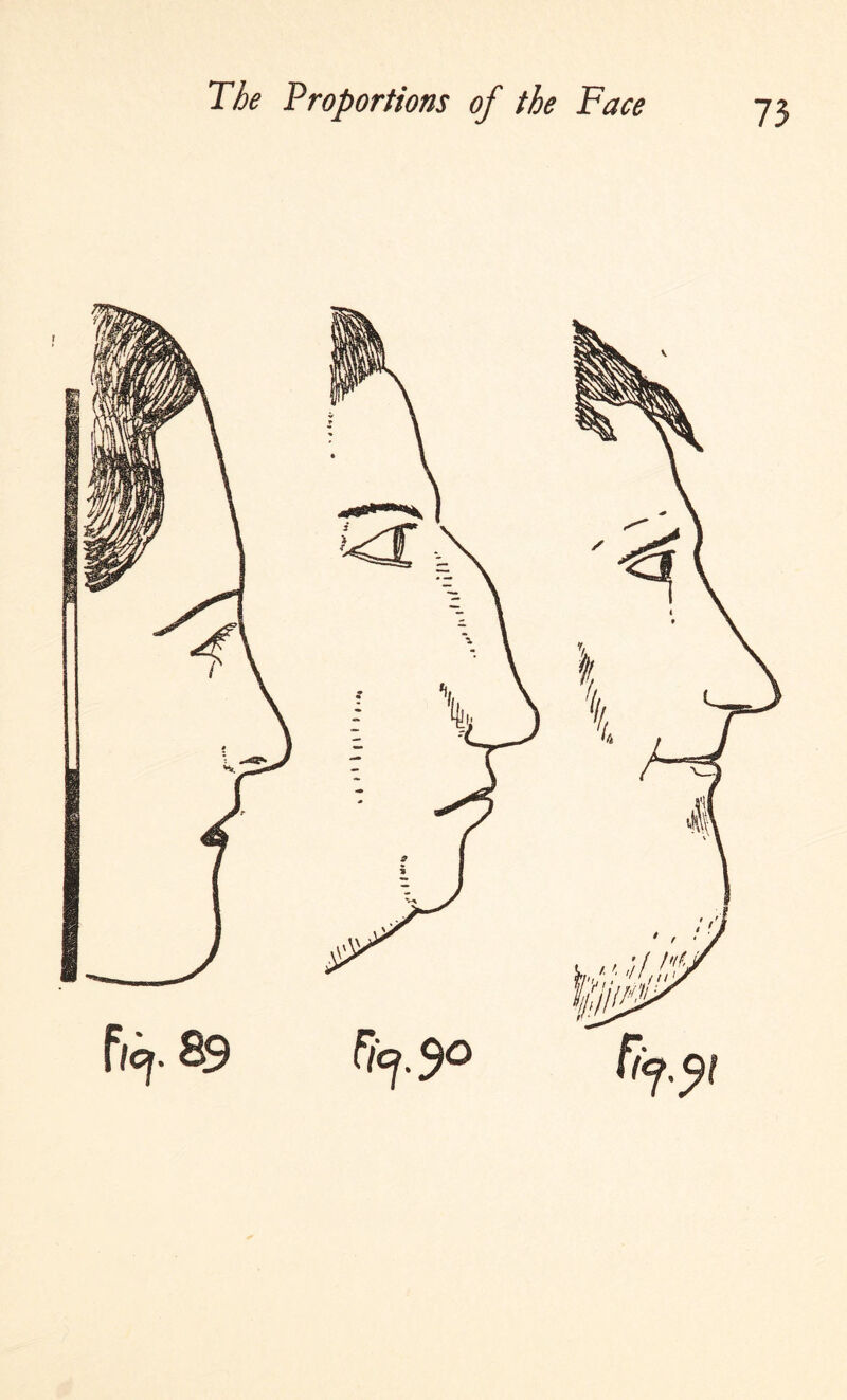 I*'*- Proportions of the Face