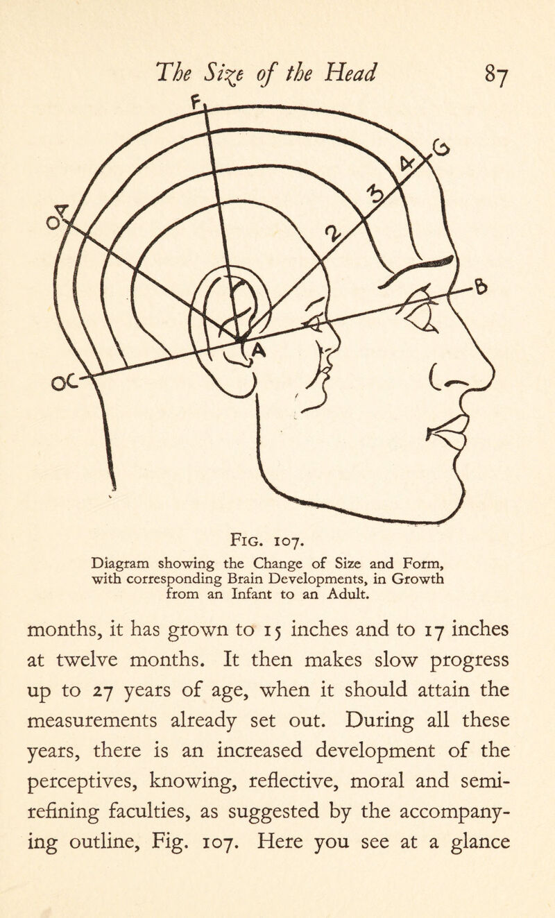 Fig. 107. Diagram showing the Change of Size and Form, with corresponding Brain Developments, in Growth from an Infant to an Adult. months, it has grown to 15 inches and to 17 inches at twelve months. It then makes slow progress up to 27 years of age, when it should attain the measurements already set out. During all these years, there is an increased development of the perceptives, knowing, reflective, moral and semi¬ refining faculties, as suggested by the accompany¬ ing outline. Fig, 107. Here you see at a glance