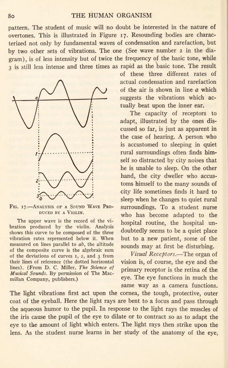 pattern. The student of music will no doubt be interested in the nature of overtones. This is illustrated in Figure 17. Resounding bodies are charac¬ terized not only by fundamental waves of condensation and rarefaction, but by two other sets of vibrations. The one (See wave number 2 in the dia¬ gram), is of less intensity but of twice the frequency of the basic tone, while 3 is still less intense and three times as rapid as the basic tone. The result of these three different rates of actual condensation and rarefaction of the air is shown in line a which suggests the vibrations which ac¬ tually beat upon the inner ear. The capacity of receptors to adapt, illustrated by the ones dis¬ cussed so far, is just as apparent in the case of hearing. A person who is accustomed to sleeping in quiet rural surroundings often finds him¬ self so distracted by city noises that he is unable to sleep. On the other hand, the city dweller who accus¬ toms himself to the many sounds of city life sometimes finds it hard to sleep when he changes to quiet rural surroundings. To a student nurse who has become adapted to the hospital routine, the hospital un¬ doubtedly seems to be a quiet place but to a new patient, some of the sounds may at first be disturbing. Visual Receptors.—The organ of vision is, of course, the eye and the primary receptor is the retina of the eye. The eye functions in much the same way as a camera functions. The light vibrations first act upon the cornea, the tough, protective, outer coat of the eyeball. Here the light rays are bent to a focus and pass through the aqueous humor to the pupil. In response to the light rays the muscles of the iris cause the pupil of the eye to dilate or to contract so as to adapt the eye to the amount of light which enters. The light rays then strike upon the lens. As the student nurse learns in her study of the anatomy of the eye, Fig. 17.- -Analysis of a Sound Wave Pro¬ duced by a Violin. The upper wave is the record of the vi¬ bration produced by the violin. Analysis shows this curve to be composed of the three vibration rates represented below it. When measured on lines parallel to ab, the altitude of the composite curve is the algebraic sum of the deviations of curves 1, 2, and 3 from their lines of reference (the dotted horizontal lines). (From D. C. Miller, The Science of Musical Sounds. By permission of The Mac¬ millan Company, publishers.)