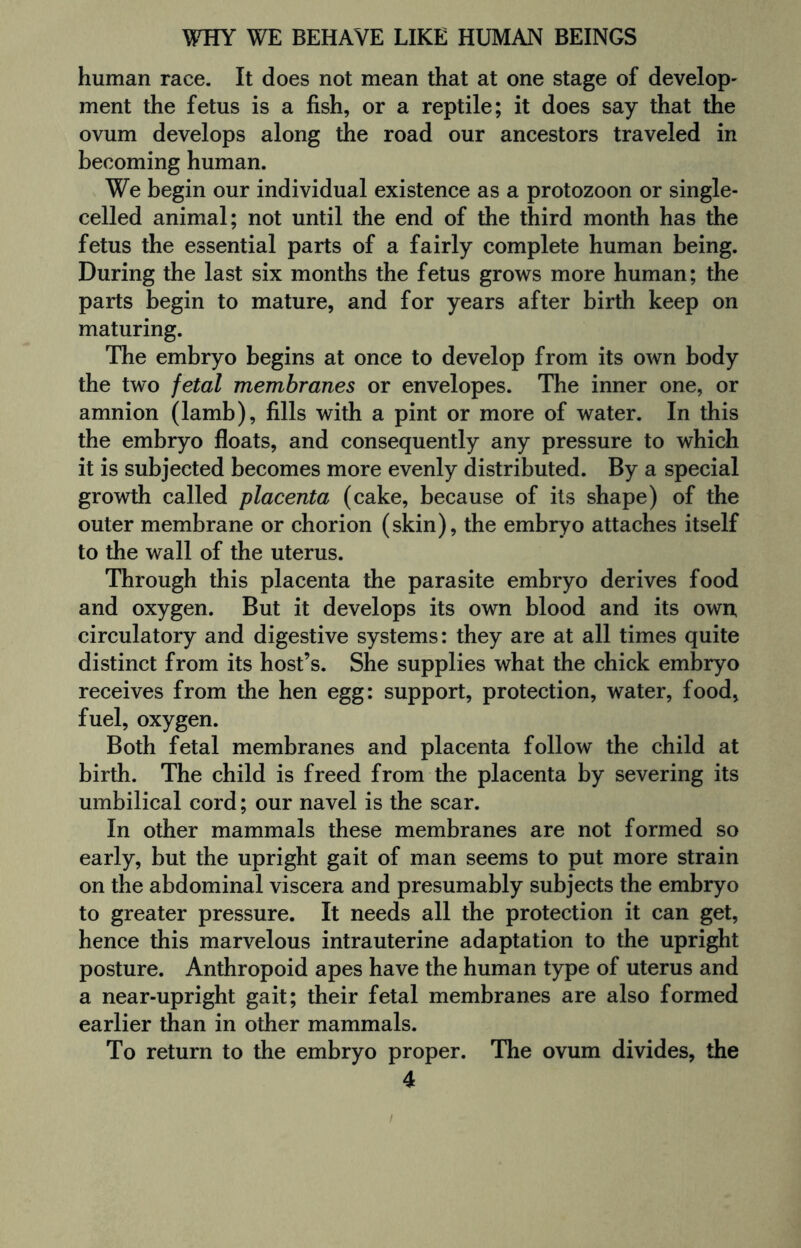human race. It does not mean that at one stage of develop¬ ment the fetus is a fish, or a reptile; it does say that the ovum develops along the road our ancestors traveled in becoming human. We begin our individual existence as a protozoon or single- celled animal; not until the end of the third month has the fetus the essential parts of a fairly complete human being. During the last six months the fetus grows more human; the parts begin to mature, and for years after birth keep on maturing. The embryo begins at once to develop from its own body the two fetal membranes or envelopes. The inner one, or amnion (lamb), fills with a pint or more of water. In this the embryo floats, and consequently any pressure to which it is subjected becomes more evenly distributed. By a special growth called placenta (cake, because of its shape) of the outer membrane or chorion (skin), the embryo attaches itself to the wall of the uterus. Through this placenta the parasite embryo derives food and oxygen. But it develops its own blood and its own, circulatory and digestive systems: they are at all times quite distinct from its host’s. She supplies what the chick embryo receives from the hen egg: support, protection, water, food, fuel, oxygen. Both fetal membranes and placenta follow the child at birth. The child is freed from the placenta by severing its umbilical cord; our navel is the scar. In other mammals these membranes are not formed so early, but the upright gait of man seems to put more strain on the abdominal viscera and presumably subjects the embryo to greater pressure. It needs all the protection it can get, hence this marvelous intrauterine adaptation to the upright posture. Anthropoid apes have the human type of uterus and a near-upright gait; their fetal membranes are also formed earlier than in other mammals. To return to the embryo proper. The ovum divides, the