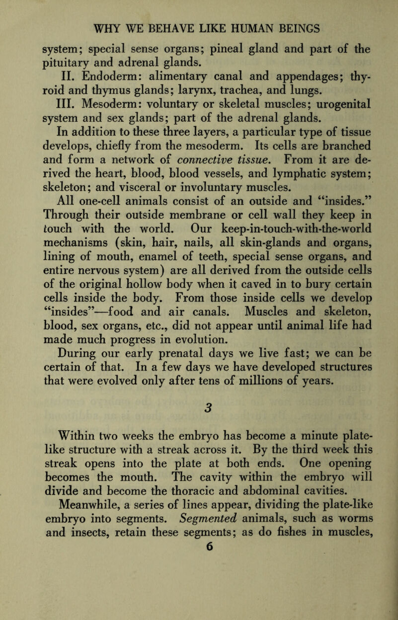 system; special sense organs; pineal gland and part of the pituitary and adrenal glands. II. Endoderm: alimentary canal and appendages; thy¬ roid and thymus glands; larynx, trachea, and lungs. III. Mesoderm: voluntary or skeletal muscles; urogenital system and sex glands; part of the adrenal glands. In addition to these three layers, a particular type of tissue develops, chiefly from the mesoderm. Its cells are branched and form a network of connective tissue. From it are de¬ rived the heart, blood, blood vessels, and lymphatic system; skeleton; and visceral or involuntary muscles. All one-cell animals consist of an outside and “insides.” Through their outside membrane or cell wall they keep in touch with the world. Our keep-in-touch-with-the-world mechanisms (skin, hair, nails, all skin-glands and organs, lining of mouth, enamel of teeth, special sense organs, and entire nervous system) are all derived from the outside cells of the original hollow body when it caved in to bury certain cells inside the body. From those inside cells we develop “insides”—food and air canals. Muscles and skeleton, blood, sex organs, etc., did not appear until animal life had made much progress in evolution. During our early prenatal days we live fast; we can be certain of that. In a few days we have developed structures that were evolved only after tens of millions of years. 3 Within two weeks the embryo has become a minute plate¬ like structure with a streak across it. By the third week this streak opens into the plate at both ends. One opening becomes the mouth. The cavity within the embryo will divide and become the thoracic and abdominal cavities. Meanwhile, a series of lines appear, dividing the plate-like embryo into segments. Segmented animals, such as worms and insects, retain these segments; as do fishes in muscles,