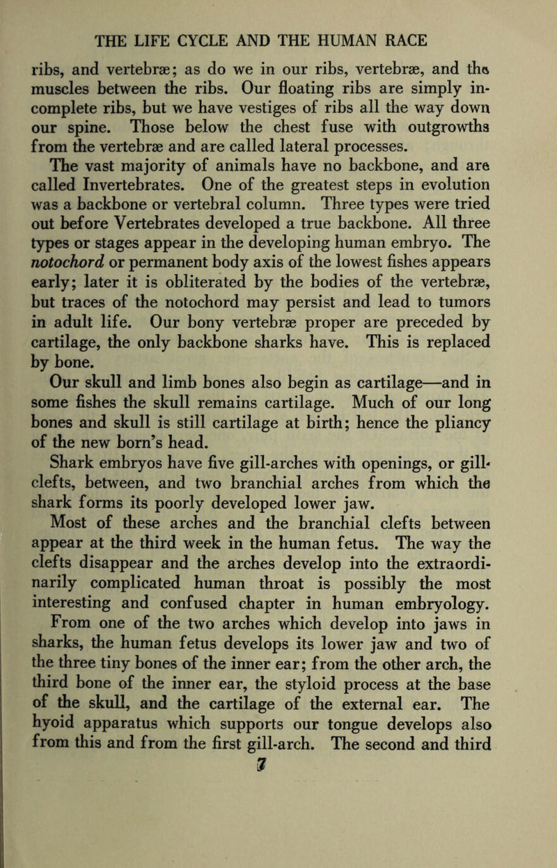 ribs, and vertebrae; as do we in our ribs, vertebrae, and thts muscles between the ribs. Our floating ribs are simply in¬ complete ribs, but we have vestiges of ribs all the way down our spine. Those below the chest fuse with outgrowths from die vertebrae and are called lateral processes. The vast majority of animals have no backbone, and are called Invertebrates. One of the greatest steps in evolution was a backbone or vertebral column. Three types were tried out before Vertebrates developed a true backbone. All three types or stages appear in the developing human embryo. The notochord or permanent body axis of the lowest fishes appears early; later it is obliterated by the bodies of the vertebrae, but traces of the notochord may persist and lead to tumors in adult life. Our bony vertebrae proper are preceded by cartilage, the only backbone sharks have. This is replaced by bone. Our skull and limb bones also begin as cartilage—and in some fishes the skull remains cartilage. Much of our long bones and skull is still cartilage at birth; hence the pliancy of the new born’s head. Shark embryos have five gill-arches with openings, or gill- clefts, between, and two branchial arches from which the shark forms its poorly developed lower jaw. Most of these arches and the branchial clefts between appear at the third week in the human fetus. The way the clefts disappear and the arches develop into the extraordi¬ narily complicated human throat is possibly the most interesting and confused chapter in human embryology. From one of the two arches which develop into jaws in sharks, the human fetus develops its lower jaw and two of the three tiny bones of the inner ear; from the other arch, the third bone of the inner ear, the styloid process at the base of the skull, and the cartilage of the external ear. The hyoid apparatus which supports our tongue develops also from this and from the first gill-arch. The second and third