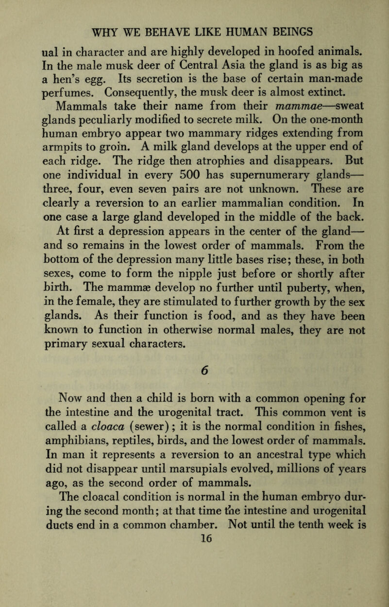 ual in character and are highly developed in hoofed animals. In the male musk deer of Central Asia the gland is as big as a hen’s egg. Its secretion is the base of certain man-made perfumes. Consequently, the musk deer is almost extinct. Mammals take their name from their mammae—sweat glands peculiarly modified to secrete milk. On the one-month human embryo appear two mammary ridges extending from armpits to groin. A milk gland develops at the upper end of each ridge. The ridge then atrophies and disappears. But one individual in every 500 has supernumerary glands— three, four, even seven pairs are not unknown. These are clearly a reversion to an earlier mammalian condition. In one case a large gland developed in the middle of the back. At first a depression appears in the center of the gland— and so remains in the lowest order of mammals. From the bottom of the depression many little bases rise; these, in both sexes, come to form the nipple just before or shortly after birth. The mammae develop no further until puberty, when, in the female, they are stimulated to further growth by the sex glands. As their function is food, and as they have been known to function in otherwise normal males, they are not primary sexual characters. 6 Now and then a child is born with a common opening for the intestine and the urogenital tract. This common vent is called a cloaca (sewer); it is the normal condition in fishes, amphibians, reptiles, birds, and the lowest order of mammals. In man it represents a reversion to an ancestral type which did not disappear until marsupials evolved, millions of years ago, as the second order of mammals. The cloacal condition is normal in the human embryo dur¬ ing the second month; at that time the intestine and urogenital ducts end in a common chamber. Not until the tenth week is