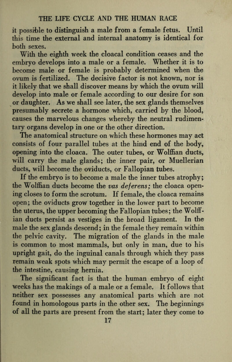 it possible to distinguish a male from a female fetus. Until this time the external and internal anatomy is identical for both sexes. With the eighth week the cloacal condition ceases and the embryo develops into a male or a female. Whether it is to become male or female is probably determined when the ovum is fertilized. The decisive factor is not known, nor is it likely that we shall discover means by which the ovum will develop into male or female according to our desire for son or daughter. As we shall see later, the sex glands themselves presumably secrete a hormone which, carried by the blood, causes the marvelous changes whereby the neutral rudimen¬ tary organs develop in one or the other direction. The anatomical structure on which these hormones may act consists of four parallel tubes at the hind end of the body, opening into the cloaca. The outer tubes, or Wolffian ducts, will carry the male glands; the inner pair, or Muellerian ducts, will become the oviducts, or Fallopian tubes. If the embryo is to become a male the inner tubes atrophy; the Wolffian ducts become the vas deferens; the cloaca open¬ ing closes to form the scrotum. If female, the cloaca remains open; the oviducts grow together in the lower part to become the uterus, the upper becoming the Fallopian tubes; the Wolff¬ ian ducts persist as vestiges in the broad ligament. In the male the sex glands descend; in the female they remain within the pelvic cavity. The migration of the glands in the male is common to most mammals, but only in man, due to his upright gait, do the inguinal canals through which they pass remain weak spots which may permit the escape of a loop of the intestine, causing hernia. The significant fact is that the human embryo of eight weeks has the makings of a male or a female. It follows that neither sex possesses any anatomical parts which are not found in homologous parts in the other sex. The beginnings of all the parts are present from the start; later they come to