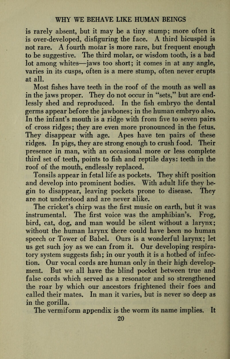 is rarely absent, but it may be a tiny stump; more often it is over-developed, disfiguring the face. A third bicuspid is not rare. A fourth molar is more rare, but frequent enough to be suggestive. The third molar, or wisdom tooth, is a bad lot among whites—jaws too short; it comes in at any angle, varies in its cusps, often is a mere stump, often never erupts at all. Most fishes have teeth in the roof of the mouth as well as in the jaws proper. They do not occur in “sets,” but are end¬ lessly shed and reproduced. In the fish embryo the dental germs appear before the jawbones; in the human embryo also. In the infant’s mouth is a ridge with from five to seven pairs of cross ridges; they are even more pronounced in the fetus. They disappear with age. Apes have ten pairs of these ridges. In pigs, they are strong enough to crush food. Their presence in man, with an occasional more or less complete third set of teeth, points to fish and reptile days: teeth in the roof of the mouth, endlessly replaced. Tonsils appear in fetal life as pockets. They shift position and develop into prominent bodies. With adult life they be¬ gin to disappear, leaving pockets prone to disease. They are not understood and are never alike. The cricket’s chirp was the first music on earth, but it was instrumental. The first voice was the amphibian’s. Frog, bird, cat, dog, and man would be silent without a larynx; without the human larynx there could have been no human speech or Tower of Babel. Ours is a wonderful larynx; let us get such joy as we can from it. Our developing respira¬ tory system suggests fish; in our youth it is a hotbed of infec¬ tion. Our vocal cords are human only in their high develop¬ ment. But we all have the blind pocket between true and false cords which served as a resonator and so strengthened the roar by which our ancestors frightened their foes and called their mates. In man it varies, but is never so deep as in the gorilla. The vermiform appendix is the worm its name implies. It