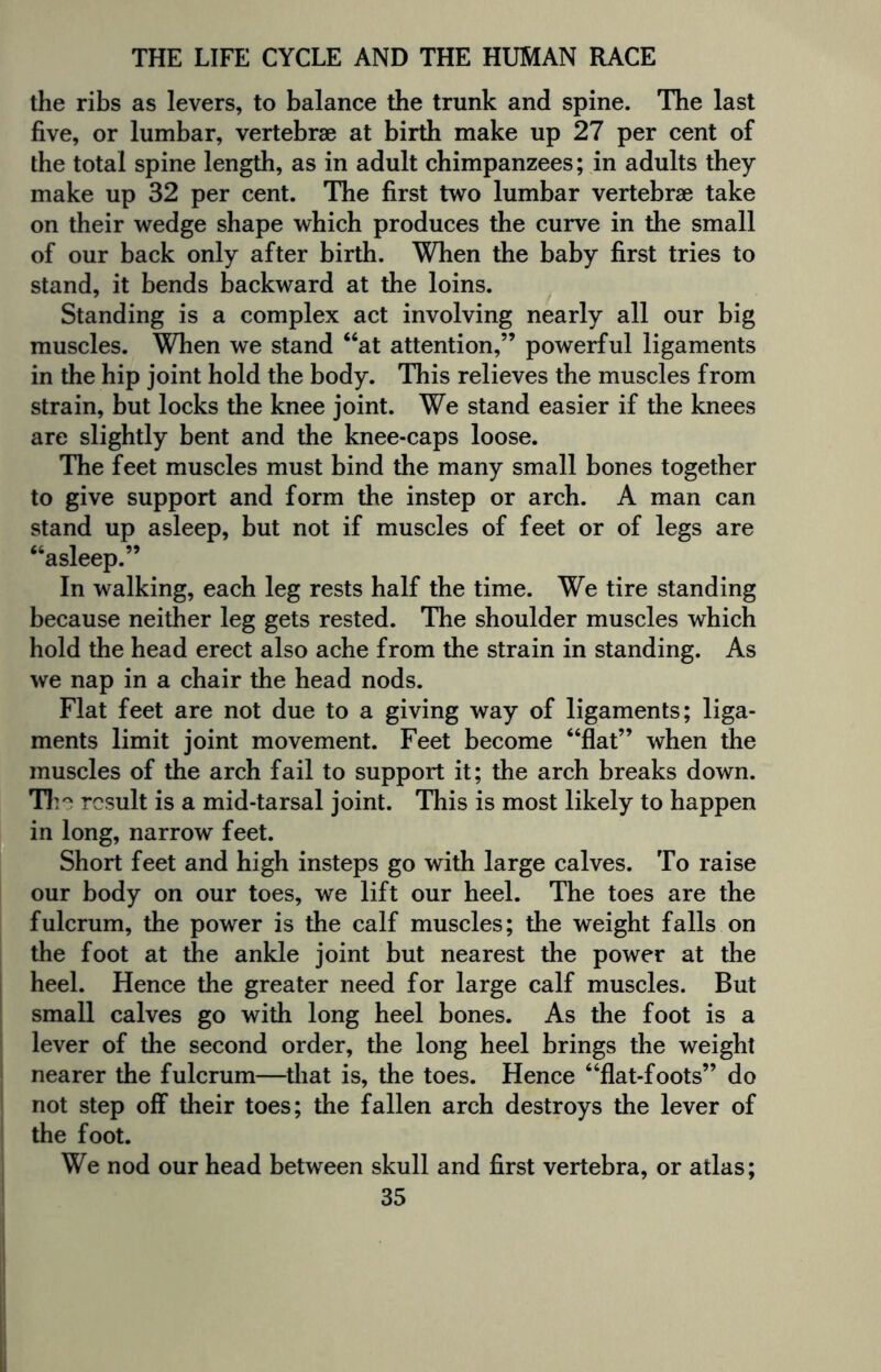 the ribs as levers, to balance the trunk and spine. The last five, or lumbar, vertebrae at birth make up 27 per cent of the total spine length, as in adult chimpanzees; in adults they make up 32 per cent. The first two lumbar vertebrae take on their wedge shape which produces the curve in the small of our back only after birth. When the baby first tries to stand, it bends backward at the loins. Standing is a complex act involving nearly all our big muscles. When we stand “at attention,” powerful ligaments in the hip joint hold the body. This relieves the muscles from strain, but locks the knee joint. We stand easier if the knees are slightly bent and the knee-caps loose. The feet muscles must bind the many small bones together to give support and form the instep or arch. A man can stand up asleep, but not if muscles of feet or of legs are “asleep.” In walking, each leg rests half the time. We tire standing because neither leg gets rested. The shoulder muscles which hold the head erect also ache from the strain in standing. As we nap in a chair the head nods. Flat feet are not due to a giving way of ligaments; liga¬ ments limit joint movement. Feet become “flat” when the muscles of the arch fail to support it; the arch breaks down. The result is a mid-tarsal joint. This is most likely to happen in long, narrow feet. Short feet and high insteps go with large calves. To raise our body on our toes, we lift our heel. The toes are the fulcrum, the power is the calf muscles; the weight falls on the foot at the ankle joint but nearest the power at the heel. Hence the greater need for large calf muscles. But small calves go with long heel bones. As the foot is a lever of the second order, the long heel brings the weight nearer the fulcrum—that is, the toes. Hence “flat-foots” do not step off their toes; the fallen arch destroys the lever of the foot. We nod our head between skull and first vertebra, or atlas;