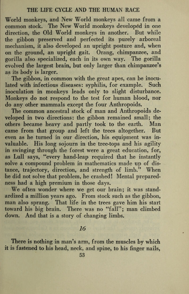 World monkeys, and New World monkeys all came from a common stock. The New World monkeys developed in one direction, the Old World monkeys in another. But while the gibbon preserved and perfected its purely arboreal mechanism, it also developed an upright posture and, when on the ground, an upright gait. Orang, chimpanzee, and gorilla also specialized, each in its own way. The gorilla evolved the largest brain, but only larger than chimpanzee’s as its body is larger. The gibbon, in common with the great apes, can be inocu¬ lated with infectious diseases: syphilis, for example. Such inoculation in monkeys leads only to slight disturbance. Monkeys do not respond to the test for human blood, nor do any other mammals except the four Anthropoids. The common ancestral stock of man and Anthropoids de¬ veloped in two directions: the gibbon remained small; the others became heavy and partly took to the earth. Man came from that group and left the trees altogether. But even as he turned in our direction, his equipment was in¬ valuable. His long sojourn in the tree-tops and his agility in swinging through the forest were a great education, for, as Lull says, “every hand-leap required that he instantly solve a compound problem in mathematics made up of dis¬ tance, trajectory, direction, and strength of limb.” When he did not solve that problem, he crashed! Mental prepared¬ ness had a high premium in those days. We often wonder where we get our brain; it was stand¬ ardized a million years ago. From stock such as the gibbon, man also sprang. That life in the trees gave him his start toward his big brain. There was no “fall”; man climbed down. And that is a story of changing limbs. 16 There is nothing in man’s arm, from the muscles by which it is fastened to his head, neck, and spine, to his finger nails,