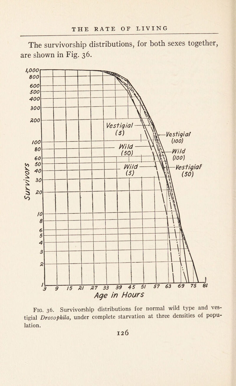 Survivors The survivorship distributions, for both sexes together, are shown in Fig. 36. Fig. 36. Survivorship distributions for normal wild type and ves- tigial Drosophila, under complete starvation at three densities of popu- lation.