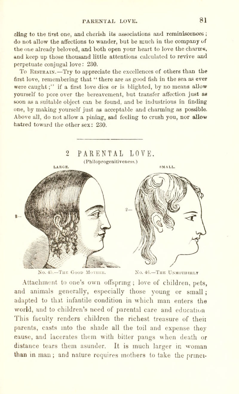 cling to tlie tirst one, and cherish its associations and reminiscences ; do not allow the affections to wander, hut be much in the company of the one already beloved, and both open your heart to love the charms, and keep up those thousand little attentions calculated to revive and perpetuate conjugal love: 230. To Restrain.—Try to appreciate the excellences of others than the first love, remembering that “ there are as good fish in the sea as ever were caughtif a first love dies or is blighted, by no means allow yourself to pore over the bereavement, but transfer affection just as soon as a suitable object can be found, and be industrious in finding one, by making yourself just as acceptable and charming as possible. Above all, do not allow a pining, sad feeling to crush you, nor allow hatred toward the other sex: 230. 2 PARENTAL LOVE. (Philoprogenitiveness.) LARGE. SMALL. 2— No. 45.—The Good Mother. No. 46.—The Unmotherlt Attachment to one’s own offspring; love of children, pets, and animals generally, especially those young or small ; adapted to that infantile condition in which man enters the world, and to children’s need of parental care and education This faculty renders children the richest treasure of theii parents, casts into the shade all the toil and expense they cause, and lacerates them with bitter pangs when death or distance tears them asunder. It is much larger in woman than in man ; and nature requires mothers to take the prmci*
