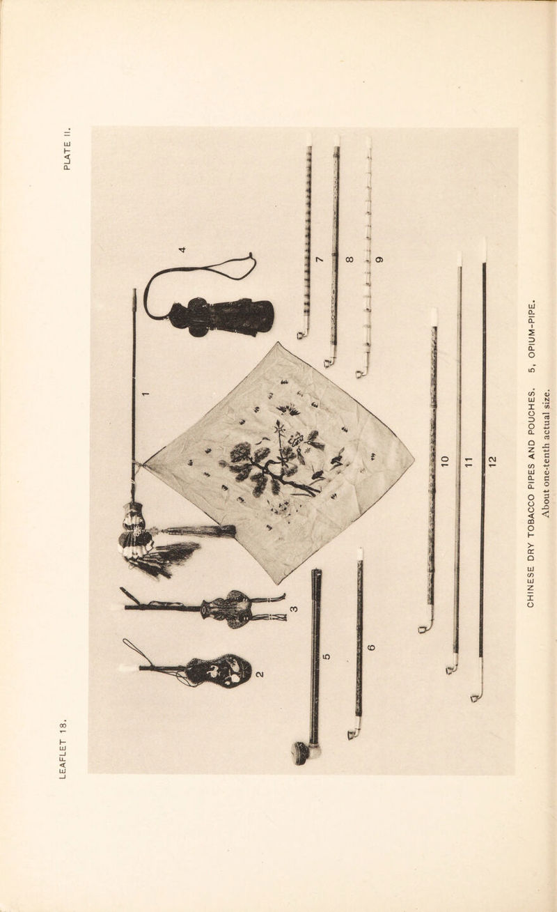 LEAFLET 18.