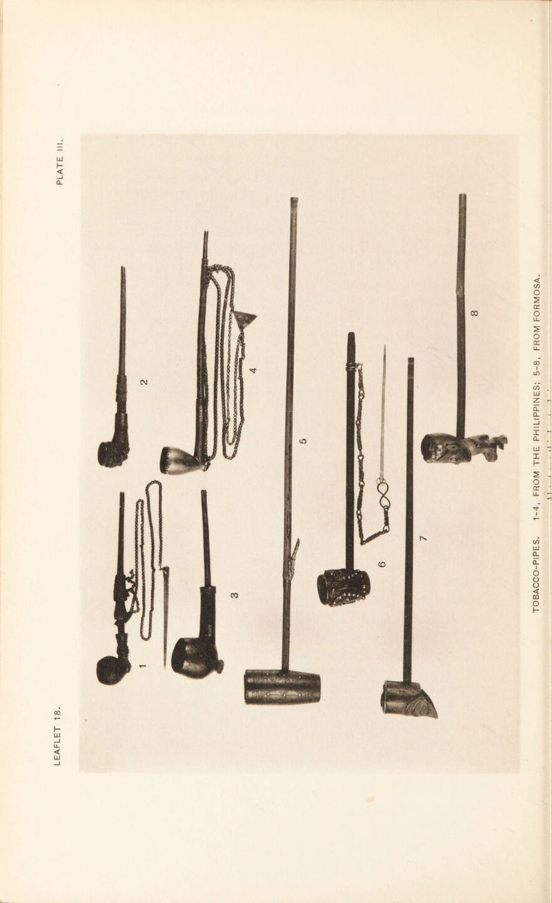 LEAFLET 18. PLATE III. TOBACCO-PIPES. 1-4, FROM THE PHILIPPINES; 5-8, FROM FORMOSA.