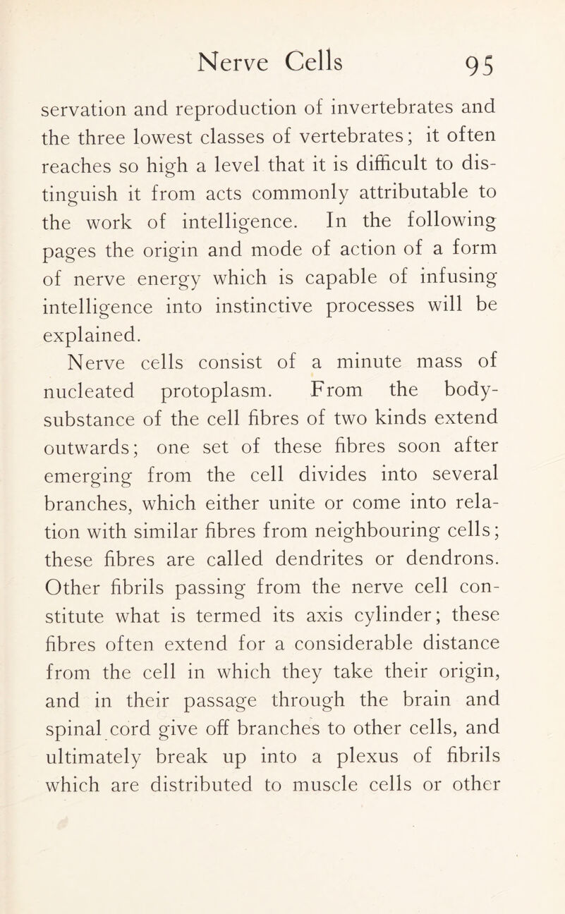 Nerve Cells servation and reproduction of invertebrates and the three lowest classes of vertebrates; it often reaches so high a level that it is difficult to dis¬ tinguish it from acts commonly attributable to the work of intelligence. In the following pages the origin and mode of action of a form of nerve energy which is capable of infusing intelligence into instinctive processes will be explained. Nerve cells consist of a minute mass of nucleated protoplasm. From the body- substance of the cell fibres of two kinds extend outwards; one set of these fibres soon after emerging from the cell divides into several branches, which either unite or come into rela¬ tion with similar fibres from neighbouring cells; these fibres are called dendrites or dendrons. Other fibrils passing from the nerve cell con¬ stitute what is termed its axis cylinder; these fibres often extend for a considerable distance from the cell in which they take their origin, and in their passage through the brain and spinal cord give off branches to other cells, and ultimately break up into a plexus of fibrils which are distributed to muscle cells or other