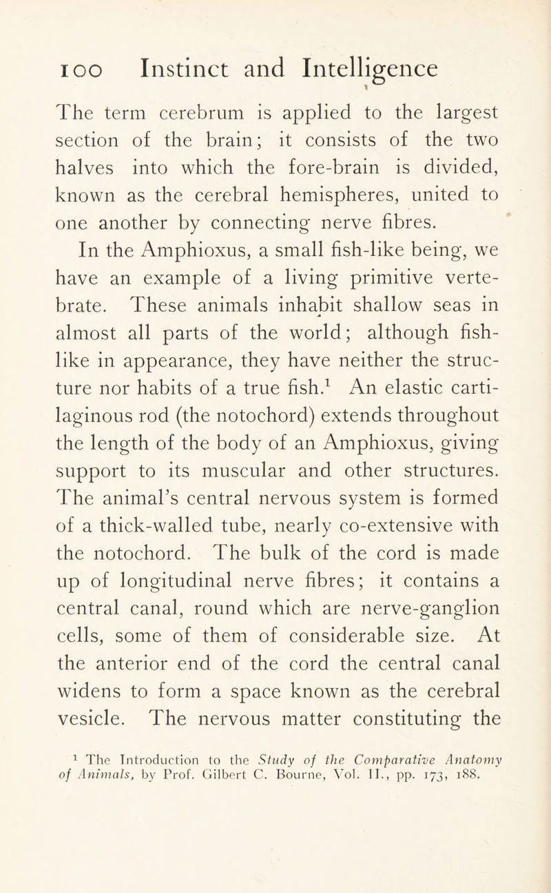 The term cerebrum is applied to the largest section of the brain; it consists of the two halves into which the fore-brain is divided, known as the cerebral hemispheres, united to one another by connecting nerve fibres. In the Amphioxus, a small fish-like being, we have an example of a living primitive verte¬ brate. These animals inhabit shallow seas in almost all parts of the world; although fish¬ like in appearance, they have neither the struc¬ ture nor habits of a true fish.1 An elastic carti¬ laginous rod (the notochord) extends throughout the length of the body of an Amphioxus, giving support to its muscular and other structures. The animal’s central nervous system is formed of a thick-walled tube, nearly co-extensive with the notochord. The bulk of the cord is made up of longitudinal nerve fibres; it contains a central canal, round which are nerve-ganglion cells, some of them of considerable size. At the anterior end of the cord the central canal widens to form a space known as the cerebral vesicle. The nervous matter constituting the 1 The Introduction to the Study of the Comparative Anatomy