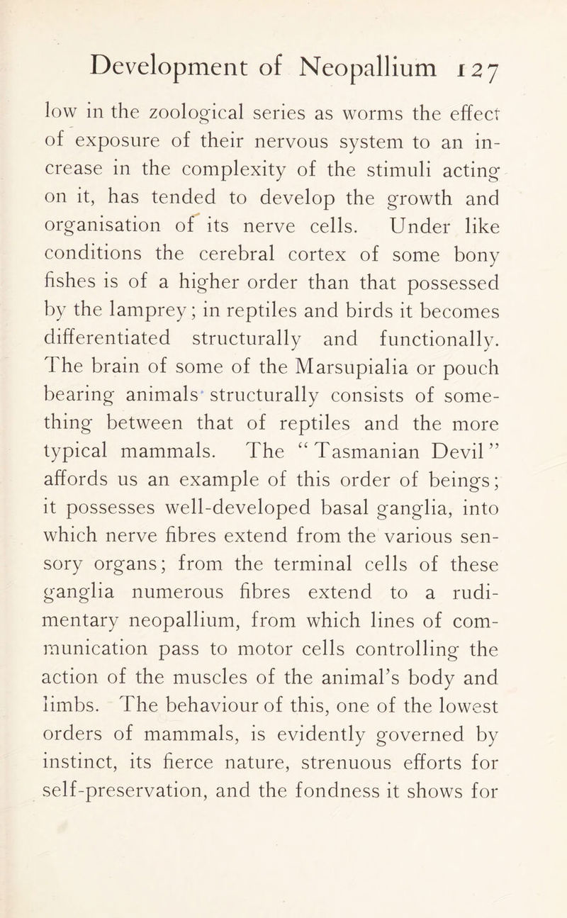 low in the zoological series as worms the effect of exposure of their nervous system to an in¬ crease in the complexity of the stimuli acting on it, has tended to develop the growth and organisation of its nerve cells. Under like conditions the cerebral cortex of some bony fishes is of a higher order than that possessed by the lamprey; in reptiles and birds it becomes differentiated structurally and functionally. The brain of some of the Marsupialia or pouch bearing animals structurally consists of some¬ thing between that of reptiles and the more typical mammals. The “Tasmanian Devil” affords us an example of this order of beings; it possesses well-developed basal ganglia, into which nerve fibres extend from the various sen¬ sory organs; from the terminal cells of these ganglia numerous fibres extend to a rudi¬ mentary neopallium, from which lines of com¬ munication pass to motor cells controlling the action of the muscles of the animal’s body and limbs. The behaviour of this, one of the lowest orders of mammals, is evidently governed by instinct, its fierce nature, strenuous efforts for self-preservation, and the fondness it shows for