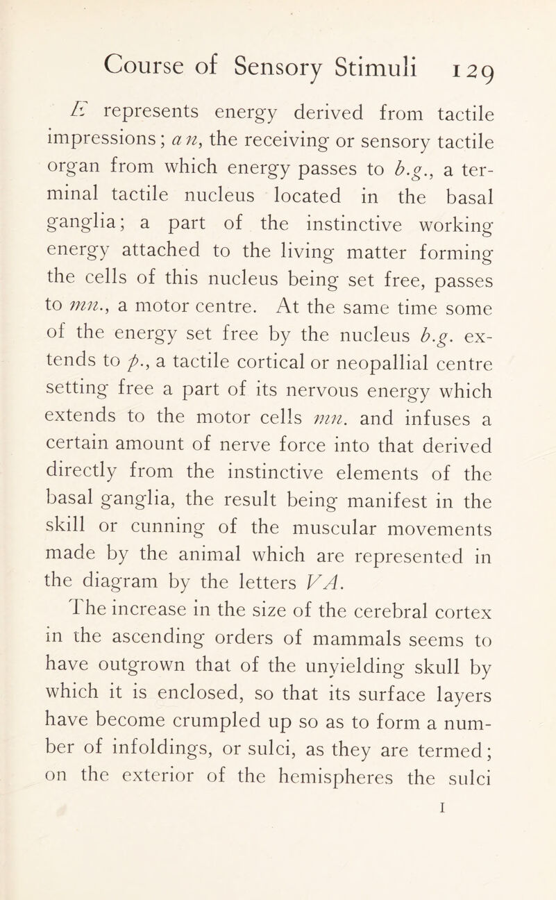 E represents energy derived from tactile impressions; an, the receiving or sensory tactile organ from which energy passes to b.g., a ter¬ minal tactile nucleus located in the basal ganglia; a part of the instinctive working energy attached to the living matter forming the cells of this nucleus being set free, passes to mn., a motor centre. At the same time some of the energy set free by the nucleus b.g. ex¬ tends to f., a tactile cortical or neopallial centre setting free a part of its nervous energy which extends to the motor cells mn. and infuses a certain amount of nerve force into that derived directly from the instinctive elements of the basal ganglia, the result being manifest in the skill or cunning of the muscular movements made by the animal which are represented in the diagram by the letters VA. f he increase in the size of the cerebral cortex m the ascending orders of mammals seems to have outgrown that of the unyielding skull by which it is enclosed, so that its surface layers have become crumpled up so as to form a num¬ ber of infoldings, or sulci, as they are termed; on the exterior of the hemispheres the sulci 1