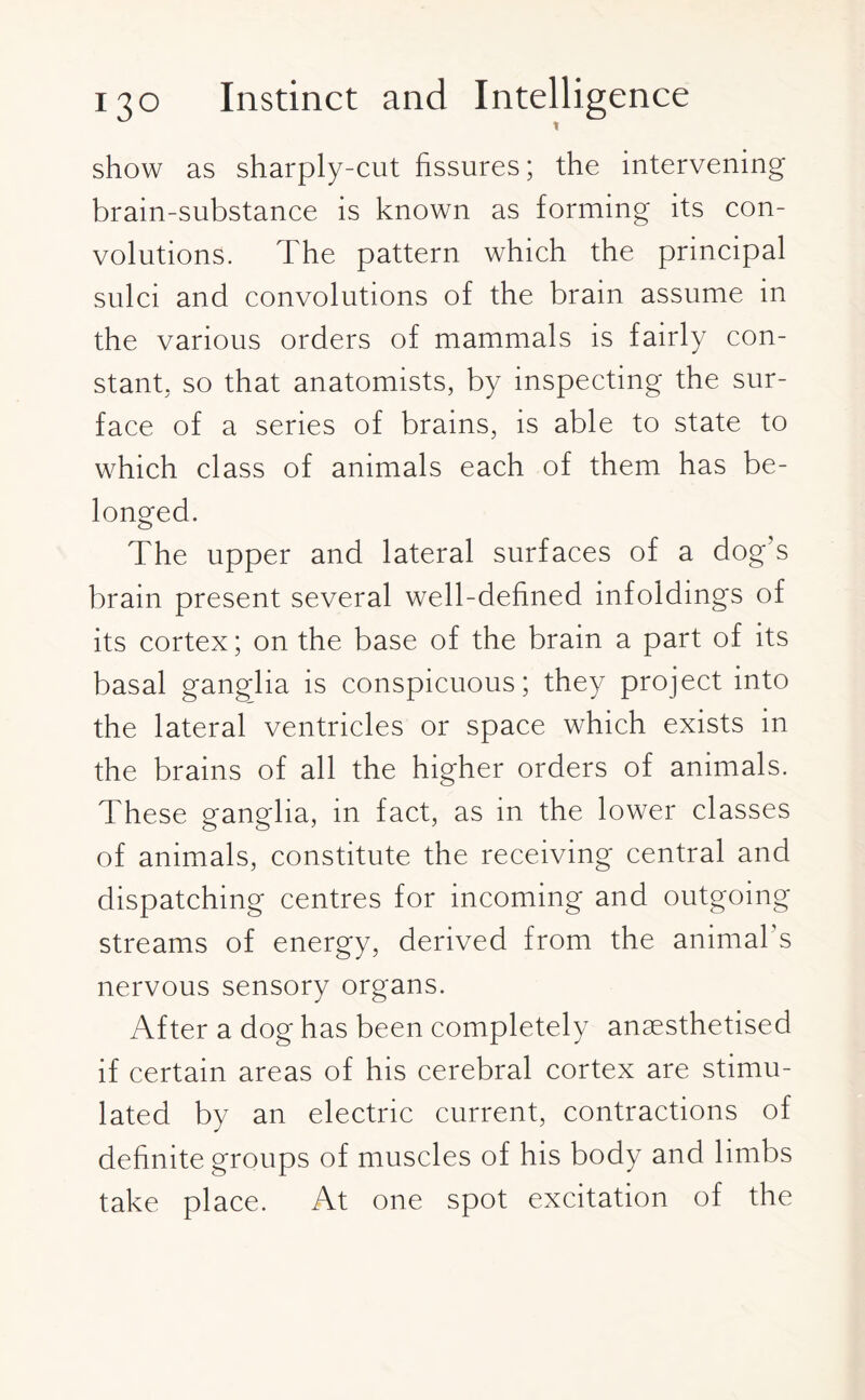 show as sharply-cut fissures; the intervening brain-substance is known as forming its con¬ volutions. The pattern which the principal sulci and convolutions of the brain assume in the various orders of mammals is fairly con¬ stant. so that anatomists, by inspecting the sur¬ face of a series of brains, is able to state to which class of animals each of them has be¬ longed. The upper and lateral surfaces of a dog’s brain present several well-defined infoldings of its cortex; on the base of the brain a part of its basal ganglia is conspicuous; they project into the lateral ventricles or space which exists in the brains of all the higher orders of animals. These ganglia, in fact, as in the lower classes of animals, constitute the receiving central and dispatching centres for incoming and outgoing streams of energy, derived from the animal’s nervous sensory organs. After a dog has been completely anaesthetised if certain areas of his cerebral cortex are stimu¬ lated by an electric current, contractions of definite groups of muscles of his body and limbs take place. At one spot excitation of the
