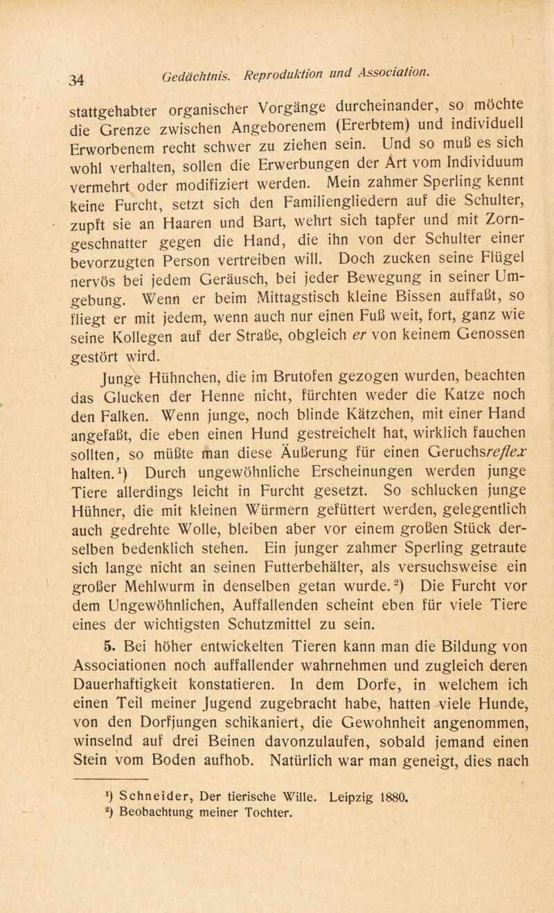 stattgehabter organischer Vorgänge durcheinander, so möchte die Grenze zwischen Angeborenem (Ererbtem) und individuell Erworbenem recht schwer zu ziehen sein. Und so muß es sich wohl verhalten, sollen die Erwerbungen der Art vom Individuum vermehrt oder modifiziert werden. Mein zahmer Sperling kennt keine Furcht, setzt sich den Familiengliedern auf die Schulter, zupft sie an Haaren und Bart, wehrt sich tapfer und mit Zorn¬ geschnatter gegen die Hand, die ihn von der Schulter einer bevorzugten Person vertreiben will. Doch zucken seine Flügel nervös bei jedem Geräusch, bei jeder Bewegung in seiner Um¬ gebung. Wenn er beim Mittagstisch kleine Bissen auffaßt, so fliegt er mit jedem, wenn auch nur einen Fuß weit, fort, ganz wie seine Kollegen auf der Straße, obgleich er von keinem Genossen gestört wird. Junge Hühnchen, die im Brutofen gezogen wurden, beachten das Glucken der Henne nicht, fürchten weder die Katze noch den Falken. Wenn junge, noch blinde Kätzchen, mit einer Hand angefaßt, die eben einen Hund gestreichelt hat, wirklich fauchen sollten, so müßte man diese Äußerung für einen Geruchsreflex halten.1) Durch ungewöhnliche Erscheinungen werden junge Tiere allerdings leicht in Furcht gesetzt. So schlucken junge Hühner, die mit kleinen Würmern gefüttert werden, gelegentlich auch gedrehte Wolle, bleiben aber vor einem großen Stück der¬ selben bedenklich stehen. Ein junger zahmer Sperling getraute sich lange nicht an seinen Futterbehälter, als versuchsweise ein großer Mehlwurm in denselben getan wurde.2) Die Furcht vor dem Ungewöhnlichen, Auffallenden scheint eben für viele Tiere eines der wichtigsten Schutzmittel zu sein. 5. Bei höher entwickelten Tieren kann man die Bildung von Associationen noch auffallender wahrnehmen und zugleich deren Dauerhaftigkeit konstatieren. In dem Dorfe, in welchem ich einen Teil meiner Jugend zugebracht habe, hatten viele Hunde, von den Dorfjungen schikaniert, die Gewohnheit angenommen, winselnd auf drei Beinen davonzulaufen, sobald jemand einen Stein vom Boden aufhob. Natürlich war man geneigt, dies nach Ö Schneider, Der tierische Wille. Leipzig 1880. 2) Beobachtung meiner Tochter.