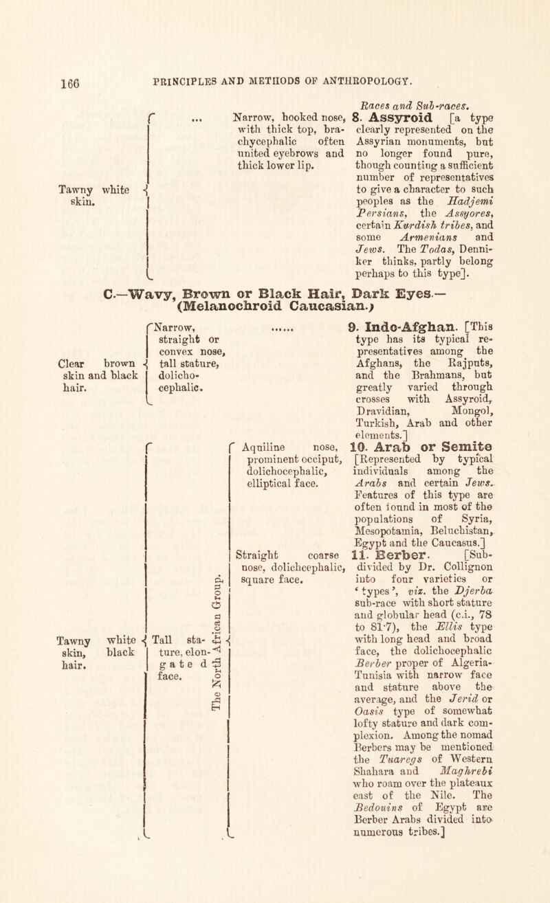 r Tawny white ] skin. v. Races and Sub-races. Narrow, hooked nose, 8. Assyroid [a type with thick top, bra- clearly represented on the chycephalic often Assyrian monuments, but united eyebrows and no longer found pure, thick lower lip. though counting a sufficient number of representatives to give a character to such peoples as the Hadjemi Persians, the Assy ores, certain Kurdish tribes, and some Armenians and Jews. The Todas, Denni- ker thinks, partly belong perhaps to this type]. C —Wavy, Brown or Black Hair, Bark Eyes.— (Melanochroid Caucasian.; Narrow, straight or convex nose. Clear brown tall stature, skin and black dolicho- hair. cephalic. Aquiline nose, prominent occiput, dolichocephalic, elliptical face. Tawny skin, hair. CL| 3 O «-■ o Straight coarse nose, dolichcephalic, square face. a 03 o ;vhite ^ Tail sta- 43 alack ture, elon-^ gate d 6 face. o £5 <x> 1-3 1 9. Xndo-Afghan. [This type has its typical re- presentatives among the Afghans, the Rajputs, and the Brahmans, but greatly varied through crosses with Assyroid, Dravidian, Mongol, Turkish, Arab and other elements.] 19. Arab or Semite [Represented by typical individuals among the Arabs and certain Jews. Features of this type are often iound in most of the populations of Syria, Mesopotamia, Beluchistan, Egypt and the Caucasus.] 11. Berber. [Sub¬ divided by Dr. Collignon into four varieties or ‘ types *, viz. the Djerba sub-race with short stature and globular head (c.i., 78 to 81'7), the Ellis type with long head and broad face, the dolichocephalic Berber proper of Algeria- Tnnisia with narrow face and stature above the average, and the Jerid or Oasis type of somewhat lofty stature and dark com¬ plexion. Among the nomad Berbers may be mentioned the Tuaregs of Western Shahara and Maghrebi who roam over the plateaux east of the Nile. The Bedouins of Egypt are Berber Arabs divided into numerous tribes.]