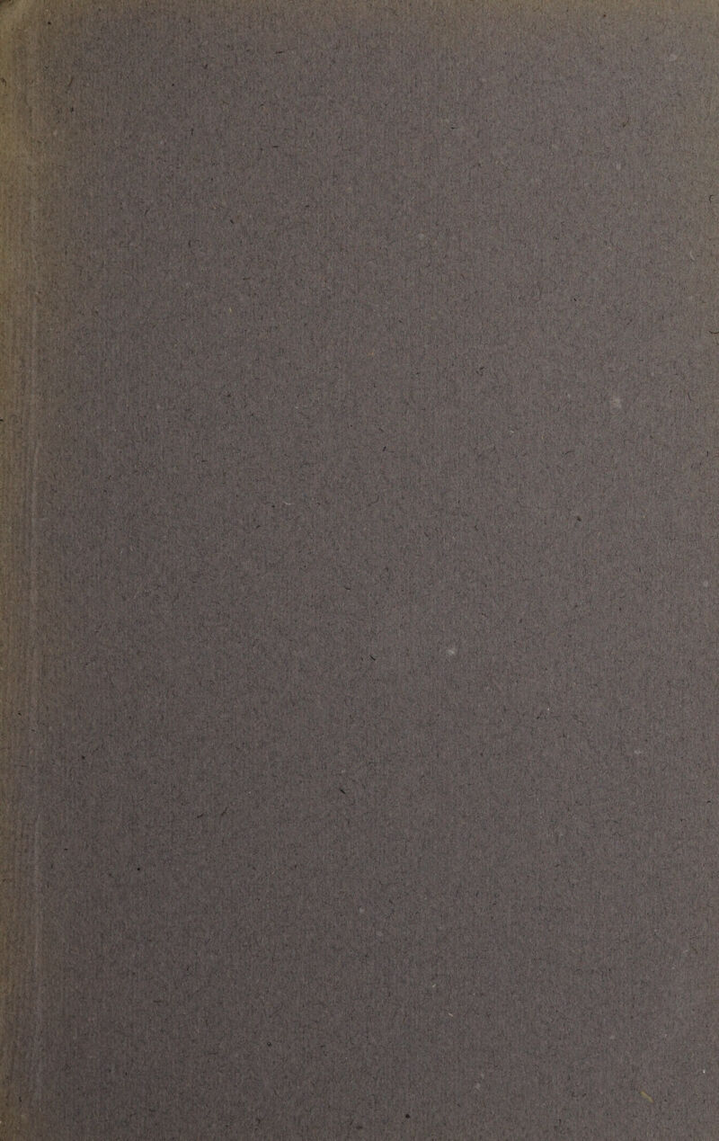 ' V- • >'V- V-..' • V Vj • t f .» ' • ’ - . ' •: « *> , >• . * >> ' : ' •- ■ . .• • . l/ ' ■ ' • • • . • • • ' • * ' . , 1 ' •' > Vf*-'-: ' .-.i- v’- ? . : ' • . ■ • v- .. ■ ■ - ■ ' - ( ' . ■ , ■ . . \ 'i . ‘ • . :•'! .« :■* ■ , .. ■ . ' ; • ' K ■ r 1 • ; ■: '■ ? ••'v t ■■■;■■ • s ; , ■ - , v, , - . - a ; ■ : - • -M , . * ' ‘ • -s , •:v y> ■ «9 i ;W..: ' ;■ / V; • V ' , -v.V V . • ■' ■ - ' ' v ; •. v ■ ■ ; v v ■ y :, -v- ■ • s *» i. • •1 .v»t*M'.-m *r r** : • ' - i >■ - • . v.i,;: -v . , ’ V . ’ - . % *. ' 1 4 ’ ■' ^ . * ' * * f*« * » > * • f ' /* ,f - ' ' - ' ‘'S' ‘‘ ' ' . ■' ‘, l7;': ■ ' . •••• * • .4, ■ ■ : ’ / - j'-s . V* ■ '■ :':H , ■Mi/.- . > • •, . /;■> i,; ... ri 'l !?V,. V-'. •’ ■ S / .. . • > .* . & •' . • ’r *. V ' <r<*.. s ■ • t, ■ , IV ;..•>*-• ,.v . : ' v; : . • ■■V' ' V.' :: ' v /. ■ ■ - • ;v! ' : v ■' S- . , vi. ■ - .v' s - ... /' 'V 'j' •*--i'-’.V ' '.V -■ V'v.'V- Vx'VyyV: >■’> ' vv, ;■■■' / *.■ ; V■■■ '■ ■' : 1 : -' - ■' '■ - . , ;;.:y..v -'yv.j; v > v-•' ■ '■ ;j. -  ifti '.V •' . • '• ' V■ , : Wi/'.; yv'v-v ’ /; / ‘' Vvv i'V“Vt'-'-’.', v / - 'V -i' ■ . .... Vf ‘ - ;; . v : *;>■ ?'v • ■■■}■' a-' . • iV'V.-V-' '■ V;.. V^.'-v ' V. - : .V •;■•'/• ' . '• •Wjf'J'y-: Vv,.. V' ■ Vr ■■ '.-• >> ■ •v ■. .v , ■ ■ .. M- ....  ' 'Iß V'/‘i- V'' '..»' ,. m{«5. 3S&I mm .m1; * . Vf li A'rJ tnr: :ir 11 ■ >1'. ■ .V* ■„ s- v?;.‘!. : v - - ■ <■;, '