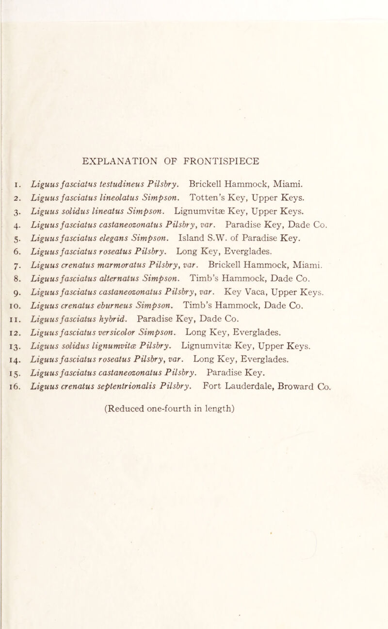 EXPLANATION OF FRONTISPIECE 1. Liguns fasciatus testudineus Pilsbry. Brickell Hammock, Miami. 2. Liguus fasciatus lineolatus Simpson. Totten's Key, Upper Keys. 3. Liguus solidus lineatus Simpson. Lignumvitae Key, Upper Keys. 4. Liguus fasciatus castaneozonatus Pilsbry, var. Paradise Key, Dade Co. 5. Liguus fasciatus elegans Simpson. Island S.W. of Paradise Key. 6. Liguus fasciatus roseatus Pilsbry. Long Key, Everglades. 7. Liguus crenatus marmoratus Pilsbry, var. Brickell Hammock, Miami. 8. Liguus fasciatus alter natus Simpson. Timb’s Hammock, Dade Co. 9. Liguus fasciatus castaneozonatus Pilsbry, var. Key Vaca, Upper Keys. 10. Liguus crenatus eburneus Simpson. Timb’s Hammock, Dade Co. 11. Liguus fasciatus hybrid. Paradise Key, Dade Co. 12. Liguus fasciatus versicolor Simpson. Long Key, Everglades. 13. Liguus solidus lignumvitce Pilsbry. Lignumvitae Key, Upper Keys. 14. Liguus fasciatus roseatus Pilsbry, var. Long Key, Everglades. 15. Liguus fasciatus castaneozonatus Pilsbry. Paradise Key. 16. Liguus crenatus septentrionalis Pilsbry. Fort Lauderdale, Broward Co. (Reduced one-fourth in length)