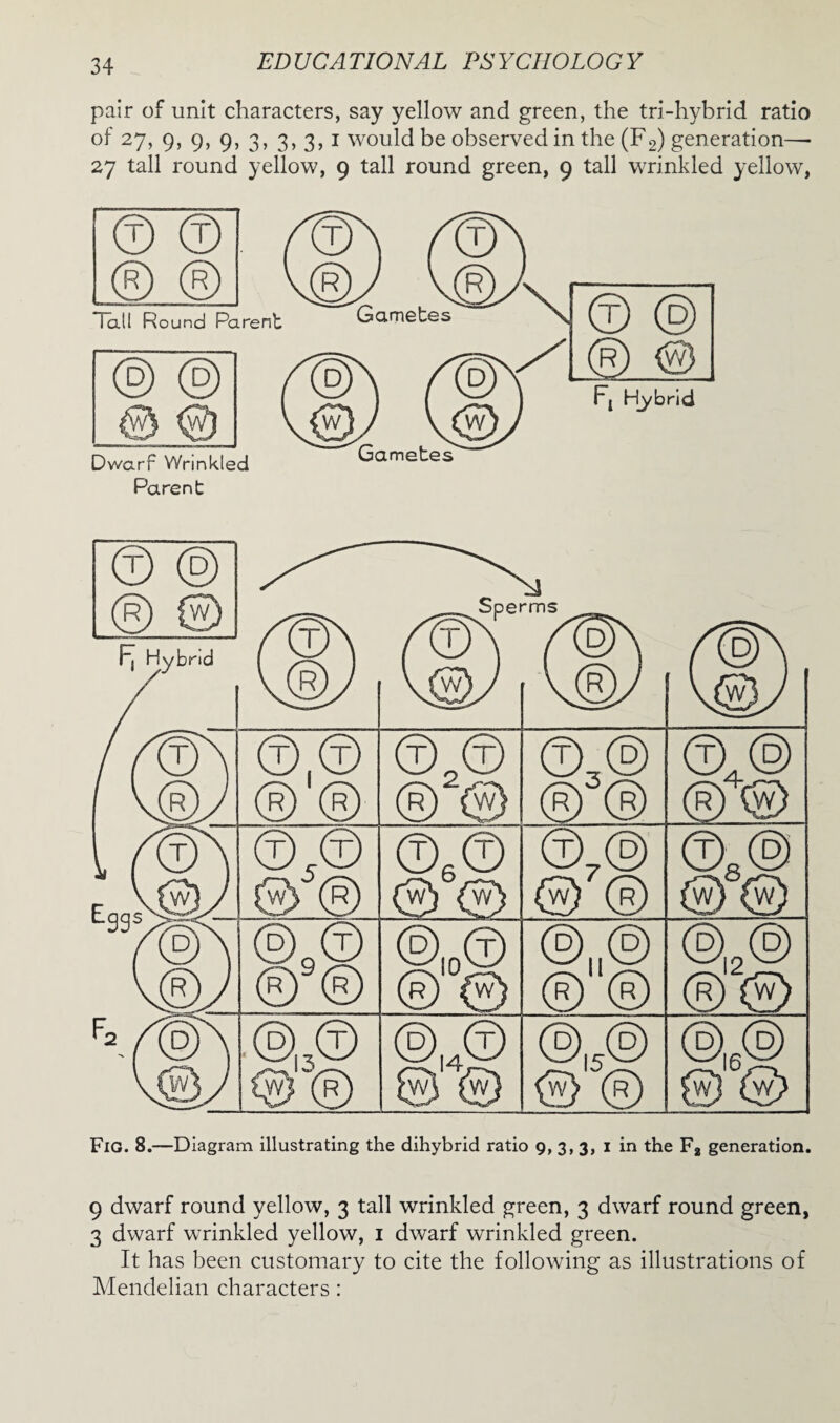 pair of unit characters, say yellow and green, the tri-hybrid ratio of 27, 9, 9, 9, 3, 3, 3, 1 would be observed in the (F2) generation—- 27 tall round yellow, 9 tall round green, 9 tall wrinkled yellow, © © © © ___ Sperms ___ Fj Hybrid ( ^ i \@/ W / | ©,© ® ® ©2© ® ® ©3® ® ® ©.® ®© l Eqq^W ©© & © ©6® © ® ©7© ©8© (W\ w ®9© ® ® ®|0© ® 0 ©|2® ®® ■®ij© <@® ®,4© © © ®,5® G) ® ®i6® Fig. 8.—Diagram illustrating the dihybrid ratio 9, 3, 3, 1 in the Fa generation. 9 dwarf round yellow, 3 tall wrinkled green, 3 dwarf round green, 3 dwarf wrinkled yellow, 1 dwarf wrinkled green. It has been customary to cite the following as illustrations of Mendelian characters: