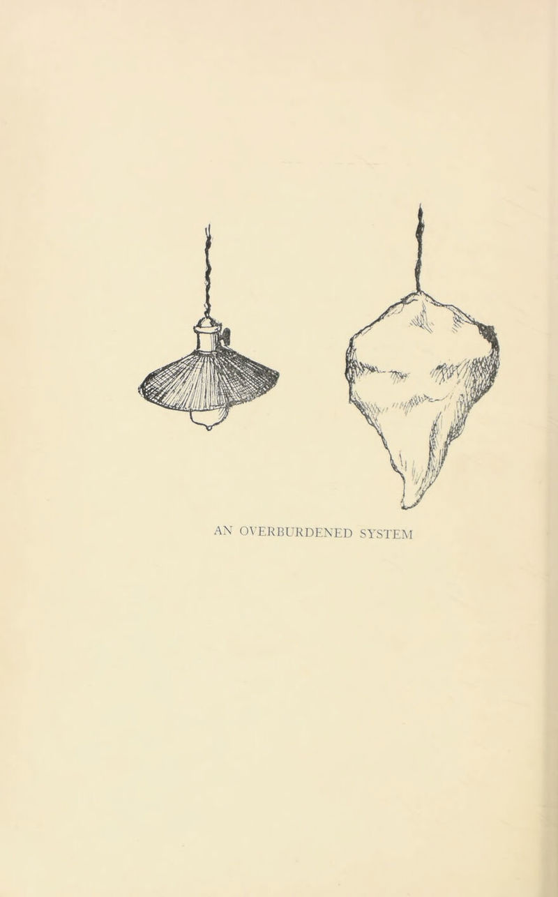 AN OVERBURDENED SYSTEM