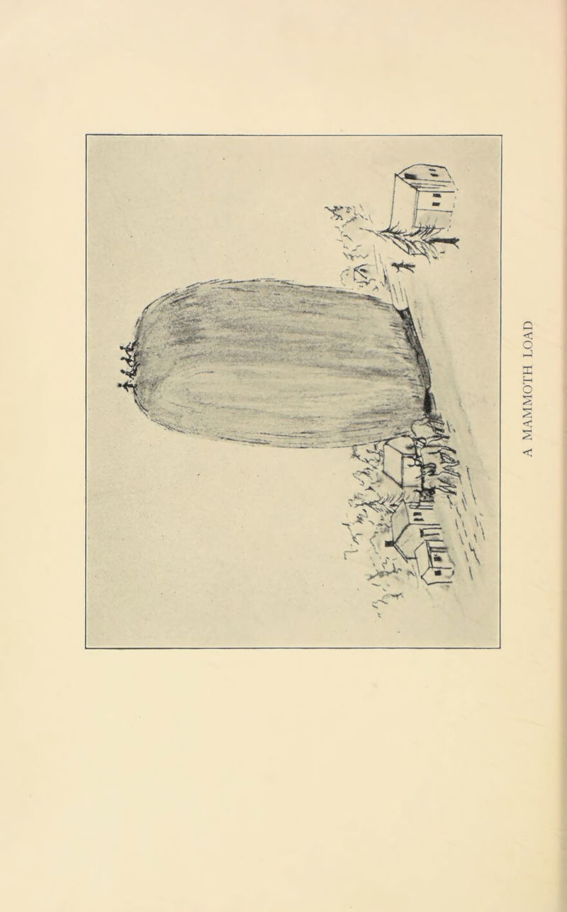 A MAMMOTH LOAD