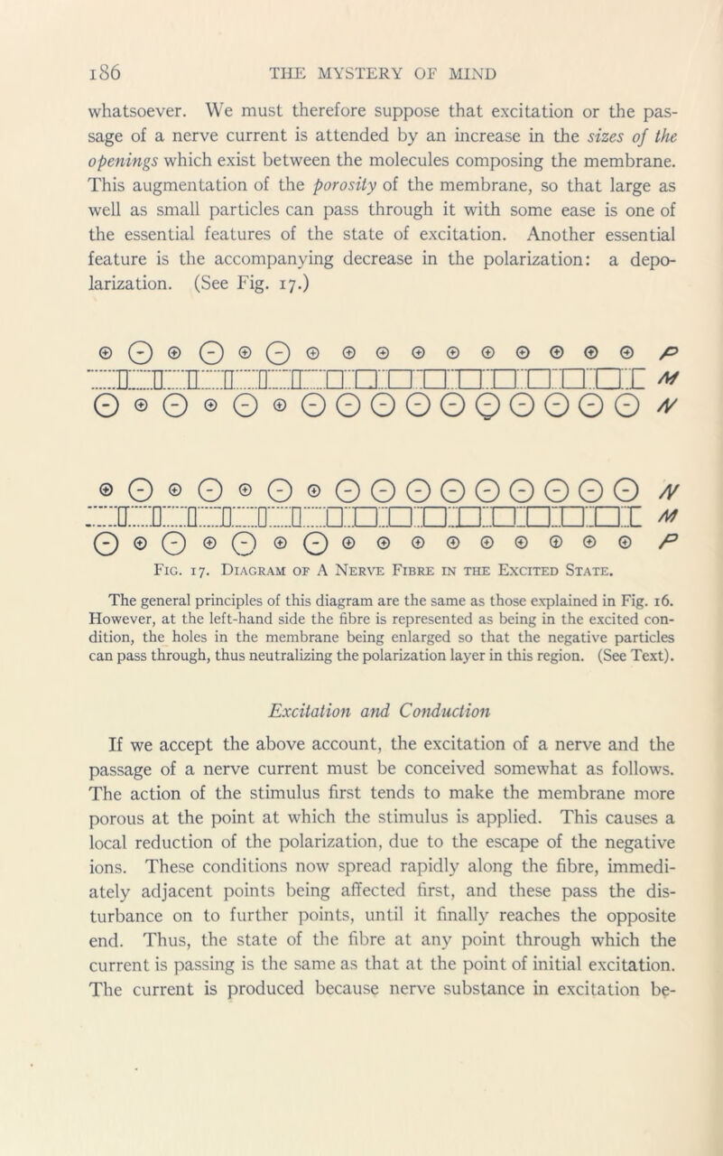 whatsoever. We must therefore suppose that excitation or the pas- sage of a nerve current is attended by an increase in the sizes of the openings which exist between the molecules composing the membrane. This augmentation of the porosity of the membrane, so that large as well as small particles can pass through it with some ease is one of the essential features of the state of excitation. Another essential feature is the accompanying decrease in the polarization: a depo- larization. (See Fig. 17.) ©o©o©o© ©© 0 © © ©®© © p u n tt •: ttt '~r; ,n rn rrrrr! ;~i t~; * 080 © O ® QGG0OQO0G0 a/ ©0©0©0©00000G000 /v z:EiF:TiE::oz:o::n:nn:niDiiniD:ni * 0©O®O®0@@@0@@0@@ Fig. 17. Diagram of A Nerve Fibre in the Excited State. The general principles of this diagram are the same as those explained in Fig. 16. However, at the left-hand side the fibre is represented as being in the excited con- dition, the holes in the membrane being enlarged so that the negative particles can pass through, thus neutralizing the polarization layer in this region. (See Text). Excitation and Conduction If we accept the above account, the excitation of a nerve and the passage of a nerve current must be conceived somewhat as follows. The action of the stimulus first tends to make the membrane more porous at the point at which the stimulus is applied. This causes a local reduction of the polarization, due to the escape of the negative ions. These conditions now spread rapidly along the fibre, immedi- ately adjacent points being affected first, and these pass the dis- turbance on to further points, until it finally reaches the opposite end. Thus, the state of the fibre at any point through which the current is passing is the same as that at the point of initial excitation. The current is produced because nerve substance in excitation be-