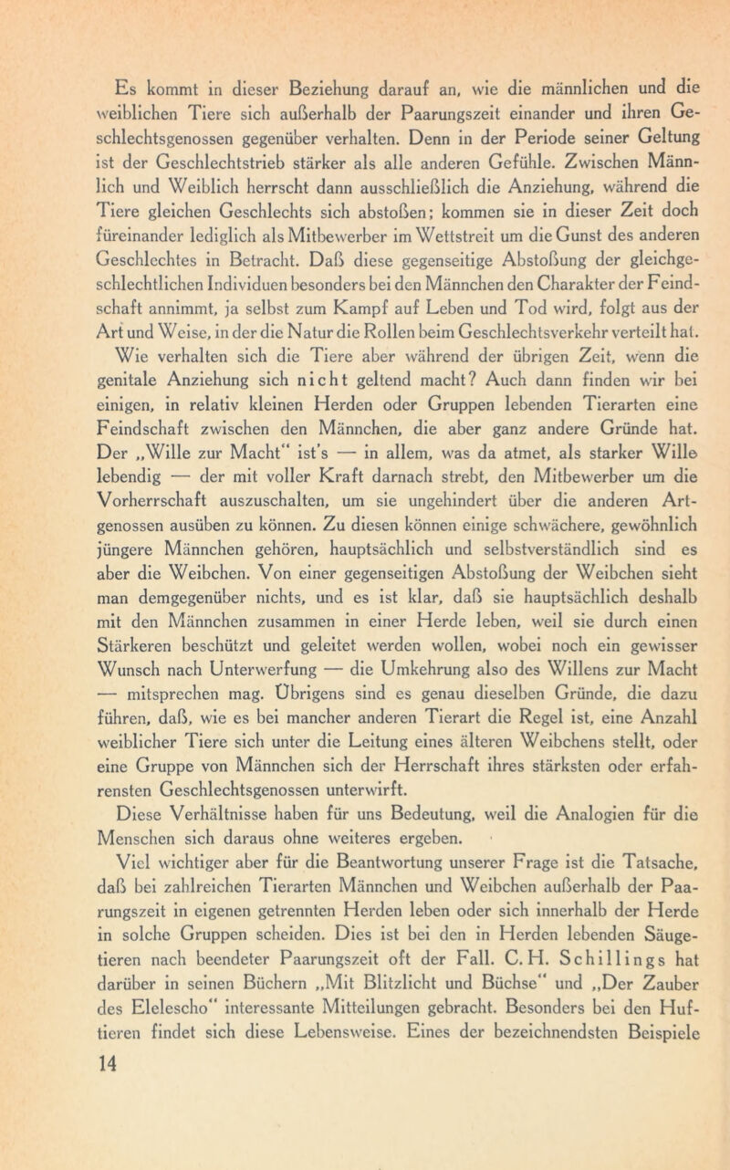 Es kommt in dieser Beziehung darauf an, wie die männlichen und die weiblichen Tiere sich außerhalb der Paarungszeit einander und ihren Ge- schlechtsgenossen gegenüber verhalten. Denn in der Periode seiner Geltung ist der Geschlechtstrieb stärker als alle anderen Gefühle. Zwischen Männ- lich und Weiblich herrscht dann ausschließlich die Anziehung, während die 1 iere gleichen Geschlechts sich abstoßen; kommen sie in dieser Zeit doch füreinander lediglich als Mitbewerber im Wettstreit um die Gunst des anderen Geschlechtes in Betracht. Daß diese gegenseitige Abstoßung der gleichge- schlechtlichen Individuen besonders bei den Männchen den Charakter der Feind- schaft annimmt, ja selbst zum Kampf auf Leben und Tod wird, folgt aus der Art und Weise, in der die Natur die Rollen beim Geschlechtsverkehr verteilt hat. Wie verhalten sich die Tiere aber während der übrigen Zeit, wenn die genitale Anziehung sich nicht geltend macht? Auch dann finden wir bei einigen, in relativ kleinen Herden oder Gruppen lebenden Tierarten eine Feindschaft zwischen den Männchen, die aber ganz andere Gründe hat. Der „Wille zur Macht“ ist’s — in allem, was da atmet, als starker Wille lebendig — der mit voller Kraft darnach strebt, den Mitbewerber um die Vorherrschaft auszuschalten, um sie ungehindert über die anderen Art- genossen ausüben zu können. Zu diesen können einige schwächere, gewöhnlich jüngere Männchen gehören, hauptsächlich und selbstverständlich sind es aber die Weibchen. Von einer gegenseitigen Abstoßung der Weibchen sieht man demgegenüber nichts, und es ist klar, daß sie hauptsächlich deshalb mit den Männchen zusammen in einer Herde leben, weil sie durch einen Stärkeren beschützt und geleitet werden wollen, wobei noch ein gewisser Wunsch nach Unterwerfung — die Umkehrung also des Willens zur Macht — mitsprechen mag. Übrigens sind es genau dieselben Gründe, die dazu führen, daß, wie es bei mancher anderen Tierart die Regel ist, eine Anzahl weiblicher Tiere sich unter die Leitung eines älteren Weibchens stellt, oder eine Gruppe von Männchen sich der Herrschaft ihres stärksten oder erfah- rensten Geschlechtsgenossen unterwirft. Diese Verhältnisse haben für uns Bedeutung, weil die Analogien für die Menschen sich daraus ohne weiteres ergeben. Viel wichtiger aber für die Beantwortung unserer Frage ist die Tatsache, daß bei zahlreichen Tierarten Männchen und Weibchen außerhalb der Paa- rungszeit in eigenen getrennten Herden leben oder sich innerhalb der Herde in solche Gruppen scheiden. Dies ist bei den in Herden lebenden Säuge- tieren nach beendeter Paarungszeit oft der Fall. C. H. Schillings hat darüber in seinen Büchern „Mit Blitzlicht und Büchse“ und „Der Zauber des Elelescho“ interessante Mitteilungen gebracht. Besonders bei den Huf- tieren findet sich diese Lebensweise. Eines der bezeichnendsten Beispiele