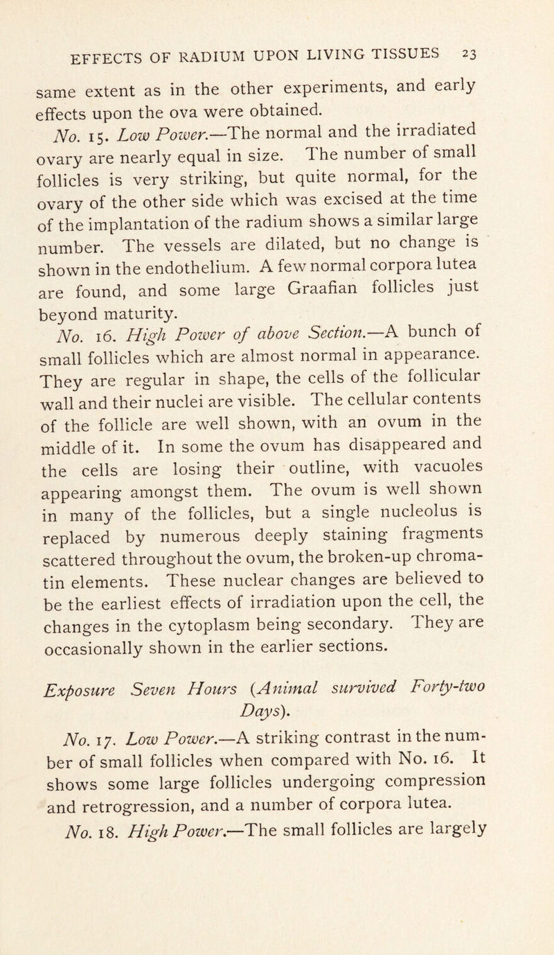 same extent as in the other experiments, and early effects upon the ova were obtained. No. 15. Low Power.—The normal and the irradiated ovary are nearly equal in size. The number of small follicles is very striking, but quite normal, for the ovary of the other side which was excised at the time of the implantation of the radium shows a similar large number. The vessels are dilated, but no change is shown in the endothelium. A few normal corpora lutea are found, and some large Graafian follicles just beyond maturity. No. 16. High Power of above Section.—A bunch of small follicles which are almost normal in appearance. They are regular in shape, the cells of the follicular wall and their nuclei are visible. The cellular contents of the follicle are well shown, with an ovum in the middle of it. In some the ovum has disappeared and the cells are losing their outline, with vacuoles appearing amongst them. The ovum is well shown in many of the follicles, but a single nucleolus is replaced by numerous deeply staining fragments scattered throughout the ovum, the broken-up chroma¬ tin elements. These nuclear changes are believed to be the earliest effects of irradiation upon the cell, the changes in the cytoplasm being secondary. They are occasionally shown in the earlier sections. Exposure Seven Hours (Animal survived Forty-two Days). No. 17. Low Power.—A striking contrast in the num¬ ber of small follicles when compared with No. 16. It shows some large follicles undergoing compression and retrogression, and a number of corpora lutea. No. 18. High Power.—The small follicles are largely