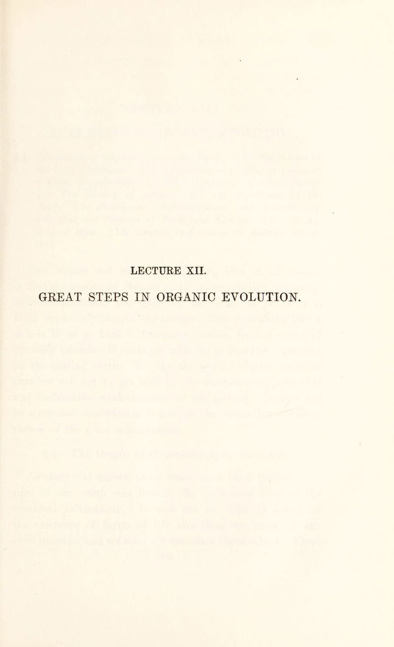 GREAT STEPS IXT ORGANIC EVOLUTION.