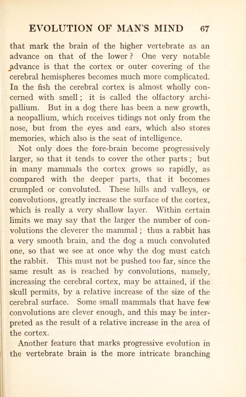 that mark the brain of the higher vertebrate as an advance on that of the lower ? One very notable ^advance is that the cortex or outer covering of the cerebral hemispheres becomes much more complicated. In the fish the cerebral cortex is almost wholly con- cerned with smell; it is called the olfactory archi- pallium. But in a dog there has been a new growth, a neopallium, which receives tidings not only from the nose, but from the eyes and ears, which also stores memories, which also is the seat of intelligence. Not only does the fore-brain become progressively larger, so that it tends to cover the other parts ; but in many mammals the cortex grows so rapidly, as compared with the deeper parts, that it becomes crumpled or convoluted. These hills and valleys, or convolutions, greatly increase the surface of the cortex, which is really a very shallow layer. Within certain limits we may say that the larger the number of con- volutions the cleverer the mammal; thus a rabbit has a very smooth brain, and the dog a much convoluted one, so that we see at once why the dog must catch the rabbit. This must not be pushed too far, since the same result as is reached by convolutions, namely, increasing the cerebral cortex, may be attained, if the skull permits, by a relative increase of the size of the cerebral surface. Some small mammals that have few convolutions are clever enough, and this may be inter- preted as the result of a relative increase in the area of the cortex. Another feature that marks progressive evolution in the vertebrate brain is the more intricate branching