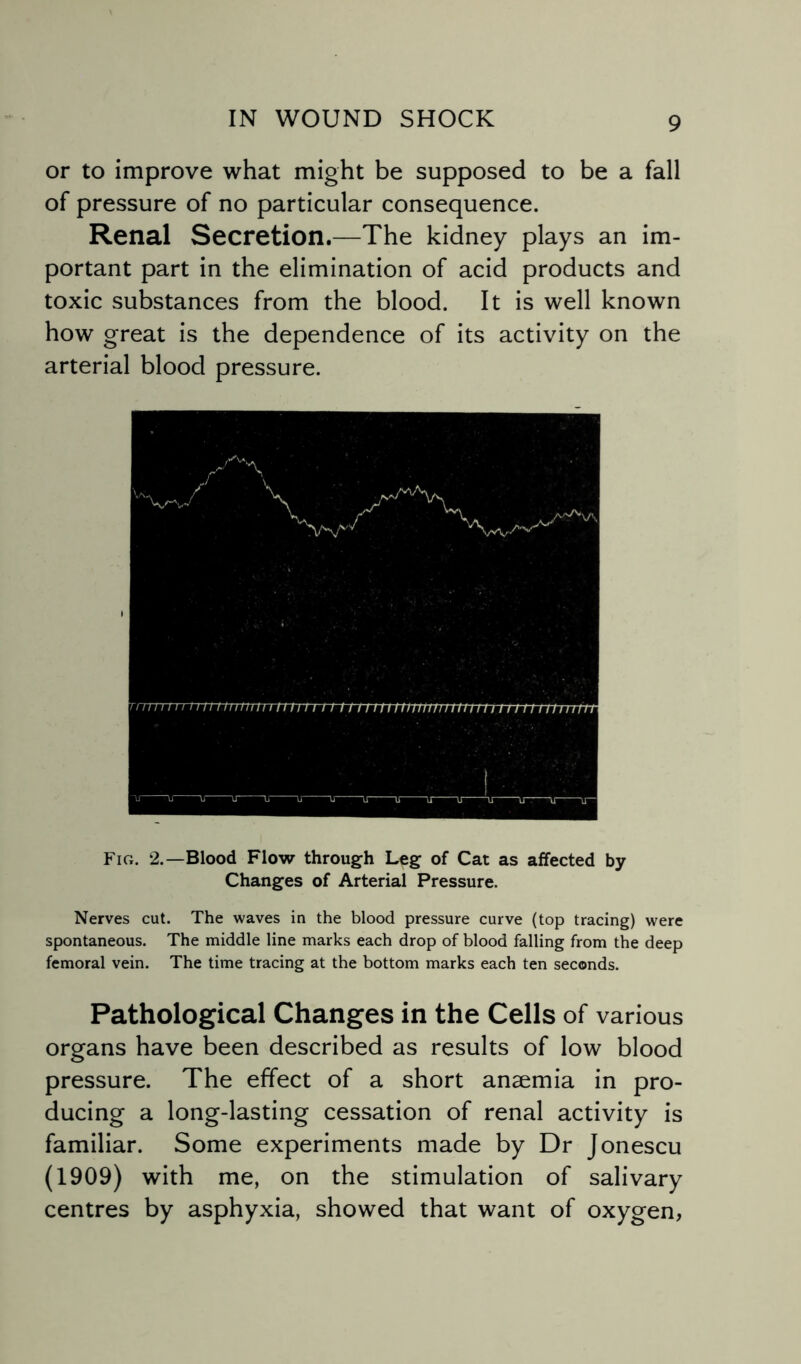 or to improve what might be supposed to be a fall of pressure of no particular consequence. Renal Secretion.—The kidney plays an im¬ portant part in the elimination of acid products and toxic substances from the blood. It is well known how great is the dependence of its activity on the arterial blood pressure. Fig. 2.—Blood Flow through Leg of Cat as affected by Changes of Arterial Pressure. Nerves cut. The waves in the blood pressure curve (top tracing) were spontaneous. The middle line marks each drop of blood falling from the deep femoral vein. The time tracing at the bottom marks each ten seconds. Pathological Changes in the Cells of various organs have been described as results of low blood pressure. The effect of a short anaemia in pro¬ ducing a long-lasting cessation of renal activity is familiar. Some experiments made by Dr Jonescu (1909) with me, on the stimulation of salivary centres by asphyxia, showed that want of oxygen,