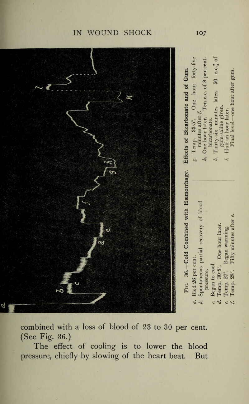 Cu Sj g 5 « cc ** J2 c « 8 n_g = 2*2 . i P rt - z V c D .C -i O C Md I >0 = c 3 — 6 X («£ 3 r- 4> XI C H O H cJ Ei)^ fct, *0 <v >y a <D ■JE> 0 6 0 )-4 U cj T3 0 etf L> <u cl u 1 to <u 5 CO Cu <u to c 01 rt Fig '•d u e 0 CL 3 in CJO el .2 ^ IS H rt >> Mi <L> ._ ffl ^ 35 O O O _ ^ „ „ O o « N N c d d d. . & s s s 0) o o> <u ^ ’'a vi K combined with a loss of blood of 23 to 30 per cent. (See Fig. 36.) The effect of cooling is to lower the blood pressure, chiefly by slowing of the heart beat. But