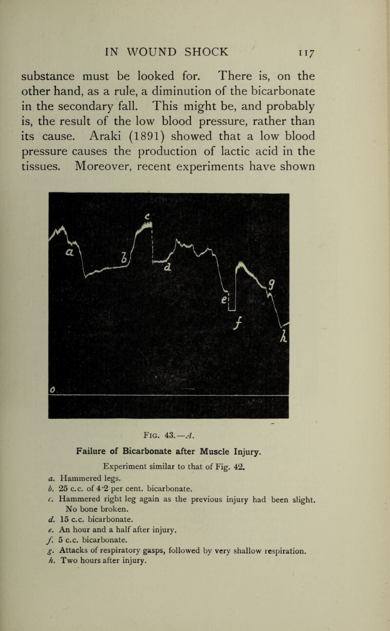 substance must be looked for. There is, on the other hand, as a rule, a diminution of the bicarbonate in the secondary fall. This might be, and probably is, the result of the low blood pressure, rather than its cause. Araki (1891) showed that a low blood pressure causes the production of lactic acid in the tissues. Moreover, recent experiments have shown Fig. 43.— A. Failure of Bicarbonate after Muscle Injury. Experiment similar to that of Fig. 42. a. Hammered legs. b. 25 c.c. of 4-2 per cent, bicarbonate. c. Hammered right leg again as the previous injury had been slight. No bone broken. d. 15 c.c. bicarbonate. e. An hour and a half after injury. f 5 c.c. bicarbonate. g. Attacks of respiratory gasps, followed by very shallow respiration. h. Two hours after injury.