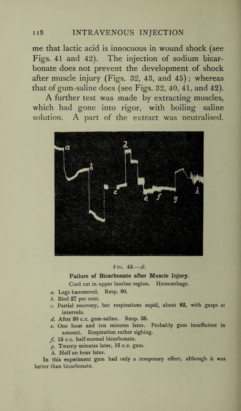 me that lactic acid is innocuous in wound shock (see Figs. 41 and 42). The injection of sodium bicar¬ bonate does not prevent the development of shock after muscle injury (Figs. 32, 43, and 45); whereas that of gum-saline does (see Figs. 32, 40, 41, and 42). A further test was made by extracting muscles, which had gone into rigor, with boiling saline solution. A part of the extract was neutralised. Fig. 43.—B. Failure of Bicarbonate after Muscle Injury. Cord cut in upper lumbar region. Haemorrhage. a. Legs hammered. Resp. 80. b. Bled 27 per cent. c. Partial recovery, but respirations rapid, about 82, with gasps at intervals. d. After 50 c.c. gum-saline. Resp. 36. e. One hour and ten minutes later. Probably gum insufficient in amount. Respiration rather sighing. f. 15 c.c. half-normal bicarbonate. g. Twenty minutes later, 15 c.c. gum. h. Half an hour later. In this experiment gum had only a temporary effect, although it was better than bicarbonate.