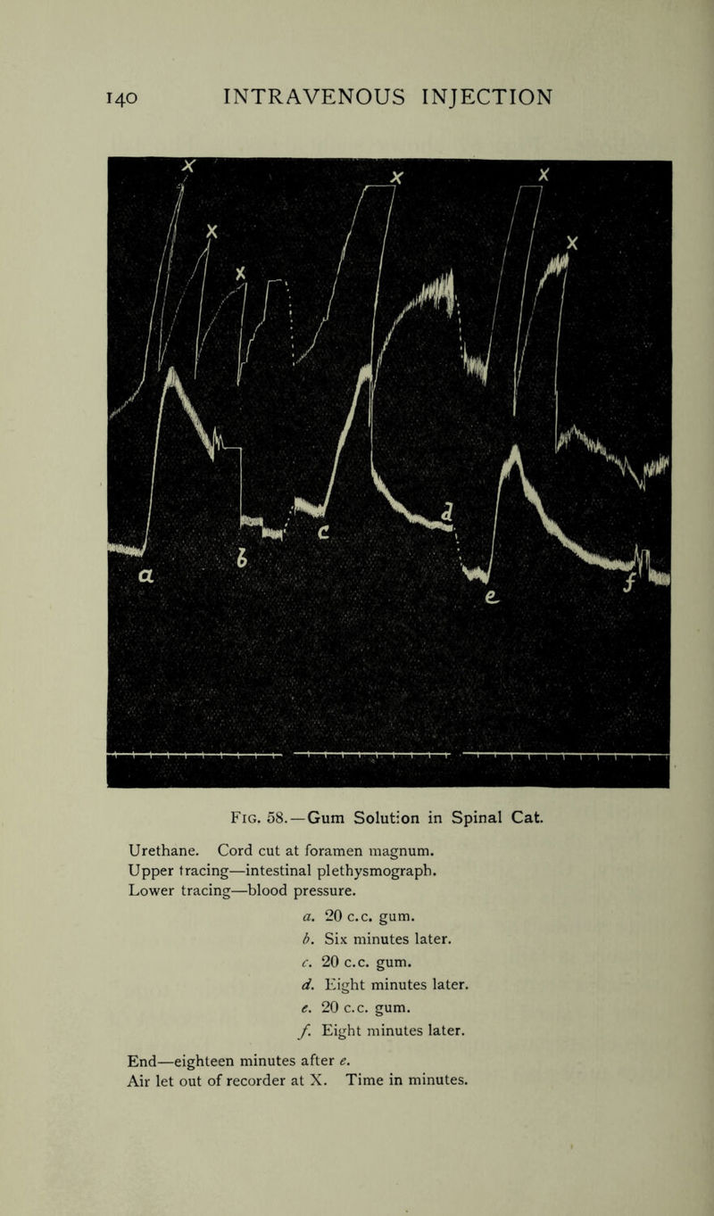 Fig, 58.—Gum Solution in Spinal Cat. Urethane. Cord cut at foramen magnum. Upper tracing—intestinal plethysmograph. Lower tracing—blood pressure. a. 20 c.c, gum. b. Six minutes later. c. 20 c.c. gum. d. Eight minutes later. c. 20 c.c. gum. f Eight minutes later. End—eighteen minutes after e. Air let out of recorder at X. Time in minutes.