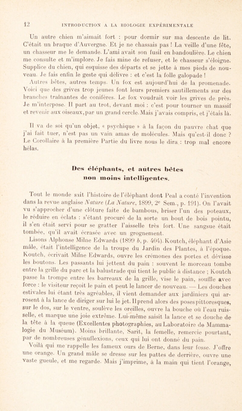 Un autre chien m’aimait fort : pour dormir sur ma descente de lit. C’était un braque d’Auvergne. Et je ne chassais pas ! La veille d’une fête, un chasseur me le demande. L’ami avait son fusil en bandoulière. Le chien me consulte et m’implore. Je fais mine de refuser, et le chasseur s’éloigne. Supplice du chien, qui esquisse des départs et se jette à mes pieds de nou- veau. Je fais enfin le geste qui délivre : et c’est la folle galopade ! Autres bêtes, autres temps. Un fox est aujourd’hui de la promenade. Voici que des grives trop jeunes font leurs premiers sautillements sur des branches tramantes de conifères. Le fox voudrait voir les grives de près. Je m’interpose. Il part au trot, devant moi : c’est pour tourner un massif et revenir aux oiseaux,par un grand cercle. Mais j’avais compris, et j’étais là. Il va de soi qu’un objet, « psychique » à la façon du pauvre chat que j’ai fait tuer, n’est pas un vain amas de molécules. Mais qu’est-il donc ? Le Corollaire à la première Partie du livre nous le dira : trop mal encore hélas. Des éléphants, et autres bétes non moins intelligentes. Tout le monde sait l’histoire de l’éléphant dont Peal a conté l invention dans la revue anglaise Nature {La Nature, 1899, 2e Sem., p. 191). On l’avait vu s approcher d une clôture faite de bambous, briser l’un des poteaux, le réduire en éclats : s’étant procuré de la sorte un bout de bois pointu, il s en était servi pour se gratter l’aisselle très fort. Une sangsue était tombée, qu’il avait écrasée avec un grognement. Lisons Alphonse Milne Edwards (1899 à, p. 404). Koutch, éléphant d’Asie- mâle, était 1 intelligence de la troupe du Jardin des Plantes, à l’époque. Koutch, écrivait Milne Edwards, ouvre les crémones des portes et dévisse les boutons. Les passants lui jettent du pain : souvent le morceau tombe entre la grille du parc et la balustrade qui tient le public à distance ; Ivoutch passe la trompe entre les barreaux de la grille, vise le pain, souffle avec force . le visiteur reçoit le pain et peut le lancer de nouveau. — Les douches estivales lui étant très agréables, il vient demander aux jardiniers qui ar- rosent a la lance de diriger sur lui le jet. Il prend alors des poses pittoresques, sur le dos, sur le ventre, soulève les oreilles, ouvre la bouche où l’eau ruis- selle, et marque une joie extrême. Lui-même saisit la lance et se douche do la tête à la queue (Excellentes photographies, au Laboratoire de Mamma- logie du Muséum). Moins brillante, Sarit, la femelle, remercie pourtant, par de nombreuses génuflexions, ceux qui lui ont donné du pain. Voilà qui me rappelle les fameux ours de Berne, dans leur fosse. J’offre une orange. Un grand mâle se dresse sur les pattes de derrière, ouvre une vaste gueule, et me regarde. Mais j’imprime, à la main qui tient l’orange,