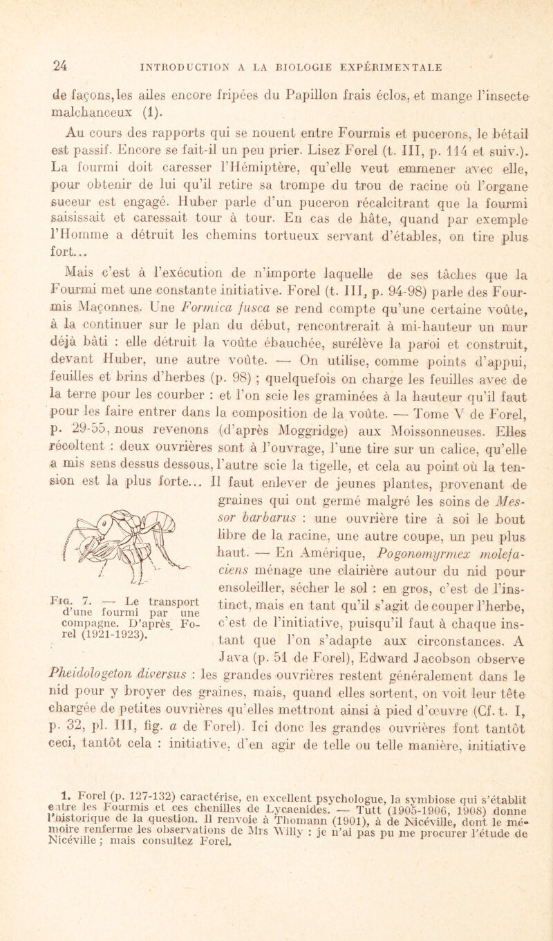 de façons, les ailes encore fripées du Papillon frais éclos, et mange l’insecte malchanceux (1). Au cours des rapports qui se nouent entre Fourmis et pucerons, le bétail est passif. Encore se fait-il un peu prier. Lisez Forel (t. III, p. 114 et suiv.). La fourmi doit caresser l’Hémiptère, qu’elle veut emmener avec elle, pour obtenir de lui qu’il retire sa trompe du trou de racine où l’organe suceur est engagé. Huber parle d’un puceron récalcitrant que la fourmi saisissait et caressait tour à tour. En cas de hâte, quand par exemple l’Homme a détruit les chemins tortueux servant d’étables, on tire plus fort... Mais c’est à l’exécution de n’importe laquelle de ses tâches que la Fourmi met une constante initiative. Forel (t. III, p. 94-98) parle des Four- mis Maçonnes. Une Formica fusca se rend compte qu’une certaine voûte, à la continuer sur le plan du début, rencontrerait à mi-hauteur un mur déjà bâti : elle détruit la voûte ébauchée, surélève la paroi et construit, devant Huber, une autre voûte. — On utilise, comme points d’appui, feuilles et brins d’herbes (p. 98) ; quelquefois on charge les feuilles avec de la terre pour les courber : et l’on scie les graminées à la hauteur qu’il faut pour les faire entrer dans la composition de la voûte. — Tome V de Forel, p. 29-55, nous revenons (d’après Moggridge) aux Moissonneuses. Elles récoltent : deux ouvrières sont à l’ouvrage, Tune tire sur un calice, qu’elle a mis sens dessus dessous, l’autre scie la tigelle, et cela au point où la ten- sion est la plus forte... Il faut enlever de jeunes plantes, provenant de graines qui ont germé malgré les soins de Mes- sor barbants : une ouvrière tire à soi le bout libre de la racine, une autre coupe, un peu plus haut. — En Amérique, Pogonomyrmex molefa- ciens ménage une clairière autour du nid pour ensoleiller, sécher le sol : en gros, c’est de l’ins- tinct, mais en tant qu’il s’agit de couper l’herbe, c'est de l’initiative, puisqu’il faut à chaque ins- tant que bon s’adapte aux circonstances. A Java (p. 51 de Forel), Edward Jacobson observe Pheidologeton diversus : les grandes ouvrières restent généralement dans le nid pour y broyer des graines, mais, quand elles sortent, on voit leur tête chargée de petites ouvrières qu’elles mettront ainsi à pied d’œuvre (Cf. t. I, p. 32, pl. III, fig. a de Forel). Ici donc les grandes ouvrières font tantôt ceci, tantôt cela : initiative, d’en agir de telle ou telle manière, initiative Fig. 7. — Le transport d’une fourmi par une compagne. D’après Fo- rel (1921-1923). 1. Forel (p. 127-132) caractérise, en excellent psychologue, la symbiose qui s’établit eatre les Fourmis et ces chenilles de Lycaenides. — Tutt (1905-1906, 1908) donne 1 historique de la question. Il renvoie à Thomann (1901), à de Nicéville, dont le mé» Pî.oire.1I1en^erm? ies observations de Mrs Willy : je n’ai pas pu me procurer l’étude de Niceville : mais consultez Forel.