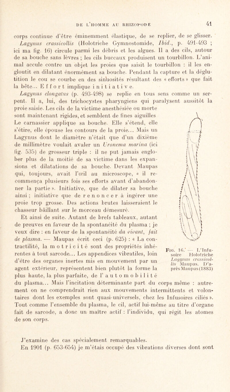 corps continue d’être éminemment élastique, de se replier, de se glisser. Lagynus crassicollis (Holotriche Gymnostomide, Ibid., p. 491-493 ; ici ma fig. 16) circule parmi les débris et les algues. Il a des cils, autour de sa bouche sans lèvres ; les cils buccaux produisent un tourbillon. L’ani- mal accule contre un objet les proies que saisit le tourbillon : il les en- gloutit en dilatant énormément sa bouche. Pendant la capture et la déglu- tition le cou se courbe en des sinuosités résultant des « efforts » que fait la bête... Effort implique initiative. Lagynus elongatus (p. 493-498) se replie en tous sens comme un ser- pent. Il a, lui, des trichocystes pharyngiens qui paralysent aussitôt la proie saisie. Les cils de la victime anesthésiée ou morte sont maintenant rigides, et semblent de fines aiguilles Le carnassier applique sa bouche. Elle s’étend, elle s’étire, elle épouse les contours de la proie... Mais un Lagynus dont le diamètre n’était que d’un dixième de millimètre voulait avaler un Uronema marina (ici fig. 535) de grosseur triple : il ne put jamais englo- ber plus de la moitié de sa victime dans les expan- sions et dilatations de sa bouche. Devant Maupas qui, toujours, avait l’œil au microscope, « il re- commença plusieurs fois ses efforts avant d’abandon- ner la partie ». Initiative, que de dilater sa bouche ainsi ; initiative que de renoncer à ingérer une proie trop grosse. Des actions brutes laisseraient le chasseur bâillant sur le morceau démesuré. Et ainsi de suite. Autant de brefs tableaux, autant de preuves en faveur de la spontanéité du plasma ; je veux dire : en faveur de la spontanéité du vivant, fait de plasma. — Maupas écrit ceci (p. 625) : « La con- tractilité, la motricité sont des propriétés inhé- rentes à tout sarcode... Les appendices vibratiles, loin d’être des organes inertes mis en mouvement par un agent extérieur, représentent bien plutôt Ja forme la plus haute, la plus parfaite, de 1’automobilité du plasma... Mais l’incitation déterminante part du corps même : autre- ment on ne comprendrait rien aux mouvements intermittents et volon- taires dont les exemples sont quasi-universels, chez les Infusoires ciliés ». Tout comme l’ensemble du plasma, le cil, actif lui-même au titre d’organe fait de sarcode, a donc un maître actif : l’individu, qui régit les atomes de son corps. Fig. 16.* — L’Infu- soire Holotriche Lagynus crassicol- lis Maupas. D’a- près Maupas (1883) J’examine des cas spécialement remarquables. En 1901 (p. 653-654) je m’étais occupé des vibrations diverses dont sont