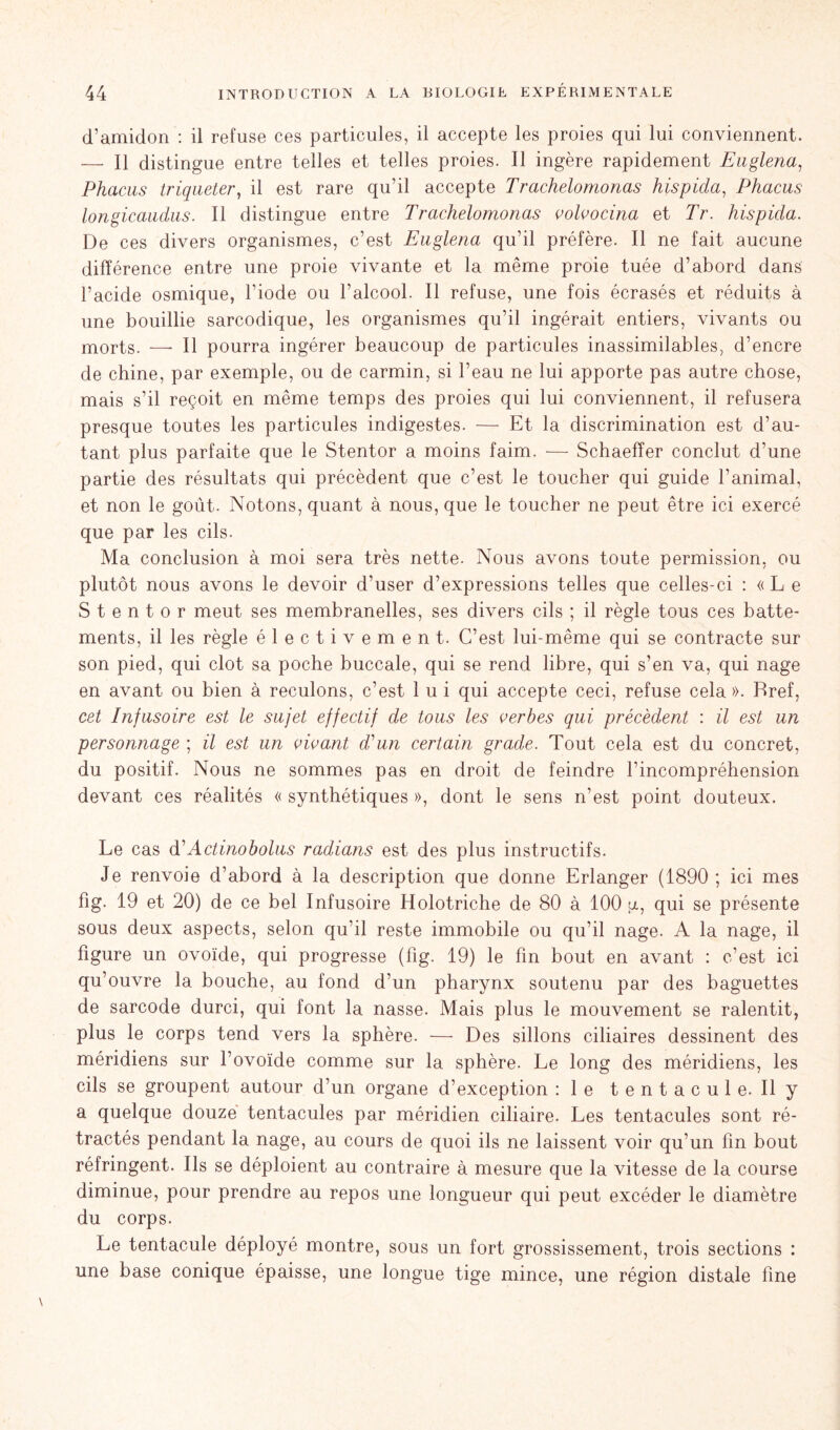 d’amidon : il refuse ces particules, il accepte les proies qui lui conviennent. — Il distingue entre telles et telles proies. Il ingère rapidement Euglena, Phacus triqueter, il est rare qu’il accepte Trachelomonas hispida, Phacus longicaudus. Il distingue entre Trachelomonas volvocina et Tr. hispida. De ces divers organismes, c’est Euglena qu’il préfère. Il ne fait aucune différence entre une proie vivante et la même proie tuée d’abord dans l’acide osmique, l’iode ou l’alcool. Il refuse, une fois écrasés et réduits à une bouillie sarcodique, les organismes qu’il ingérait entiers, vivants ou morts. —- Il pourra ingérer beaucoup de particules inassimilables, d’encre de chine, par exemple, ou de carmin, si l’eau ne lui apporte pas autre chose, mais s’il reçoit en même temps des proies qui lui conviennent, il refusera presque toutes les particules indigestes. — Et la discrimination est d’au- tant plus parfaite que le Stentor a moins faim. — Schaeffer conclut d’une partie des résultats qui précèdent que c’est le toucher qui guide l’animal, et non le goût. Notons, quant à nous, que le toucher ne peut être ici exercé que par les cils. Ma conclusion à moi sera très nette. Nous avons toute permission, ou plutôt nous avons le devoir d’user d’expressions telles que celles-ci : « L e Stentor meut ses membranelles, ses divers cils ; il règle tous ces batte- ments, il les règle électivement. C’est lui-même qui se contracte sur son pied, qui clôt sa poche buccale, qui se rend libre, qui s’en va, qui nage en avant ou bien à reculons, c’est 1 u i qui accepte ceci, refuse cela». Bref, cet Infusoire est le sujet effectif de tous les verbes qui précèdent : il est un personnage ; il est un vivant d'un certain grade. Tout cela est du concret, du positif. Nous ne sommes pas en droit de feindre l’incompréhension devant ces réalités « synthétiques », dont le sens n’est point douteux. Le cas d1 Actinobolus radians est des plus instructifs. Je renvoie d’abord à la description que donne Erlanger (1890 ; ici mes fig. 19 et 20) de ce bel Infusoire Holotriche de 80 à 100 u, qui se présente sous deux aspects, selon qu’il reste immobile ou qu’il nage. A la nage, il figure un ovoïde, qui progresse (fig. 19) le fin bout en avant : c’est ici qu’ ouvre la bouche, au fond d’un pharynx soutenu par des baguettes de sarcode durci, qui font la nasse. Mais plus le mouvement se ralentit, plus le corps tend vers la sphère. — Des sillons ciliaires dessinent des méridiens sur l’ovoïde comme sur la sphère. Le long des méridiens, les cils se groupent autour d’un organe d’exception :1e tentacule. Il y a quelque douze tentacules par méridien ciliaire. Les tentacules sont ré- tractés pendant la nage, au cours de quoi ils ne laissent voir qu’un fin bout réfringent. Ils se déploient au contraire à mesure que la vitesse de la course diminue, pour prendre au repos une longueur qui peut excéder le diamètre du corps. Le tentacule déployé montre, sous un fort grossissement, trois sections : une base conique épaisse, une longue tige mince, une région distale fine