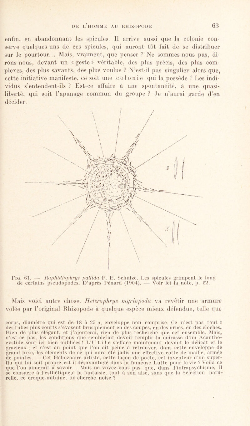 enfin, en abandonnant les spiculés. Il arrive aussi que la colonie con- serve quelques-uns de ces spiculés, qui auront tôt fait de se distribuer sur le pourtour... Mais, vraiment, que penser ? Ne sommes-nous pas, di- rons-nous, devant un « geste » véritable, des plus précis, des plus com- plexes, des plus savants, des plus voulus ? N’est-il pas singulier alors que, cette initiative manifeste, ce soit une colonie qui la possède ? Les indi- vidus s’entendent-ils ? Est-ce affaire à une spontanéité, à une quasi- liberté, qui soit l’apanage commun du groupe ? Je n’aurai garde d’en décider. Fig. 61. — Raphicliophrys pallida F. E. Schulze. Les spiculés grimpent le long de certains pseudopodes. D’après Pénard (1904). — Voir ici la note, p. 62. Mais voici autre chose. Heterophrys myriopoda va revêtir une armure volée par l’original Rhizopode à quelque espèce mieux défendue, telle que corps, diamètre qui est de 18 à 25 g, enveloppe non comprise. Ce n’est pas tout : des tubes plus courts s’évasent brusquement en des coupes, en des urnes, en des cloches. Rien de plus élégant, et j’ajouterai, rien de plus recherché que cet ensemble. Mais, n’est-ce pas, les conditions que semblerait devoir remplir la cuirasse d’un Acantho- cystide sont ici bien oubliées ! L’U t i 1 e s’efface maintenant devant le délicat et le gracieux ; et c’est au point que l’on ait peine à retrouver, dans cette enveloppe de grand luxe, les éléments de ce qui aura été jadis une effective cotte de maille, armée de pointes. — Cet Héliozoaire artiste, cette façon de poète, cet inventeur d’un super- flu qui lui soit propre, est-il désavantagé dans la fameuse Lutte pour la vie ? Voilà ce que l’on aimerait à savoir... Mais ne voyez-vous pas que, dans Pinfrapsychisme, il se consacre à l’esthétique,à la fantaisie, tout à son aise, sans que la Sélection natu- relle, ce croque-mitaine, lui cherche noise ?