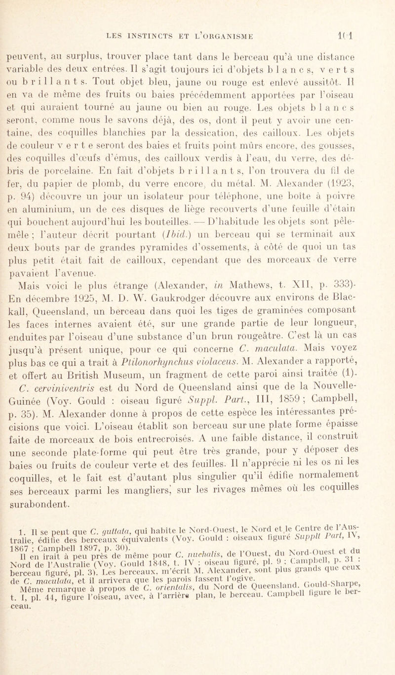 peuvent, au surplus, trouver place tant dans le berceau qu’à une distance variable des deux entrées. 11 s’agit toujours ici d’objets blancs, verts ou brilla n t s. Tout objet bleu, jaune ou rouge est enlevé aussitôt. Il en va de même des fruits ou baies précédemment apportées par l’oiseau et qui auraient tourné au jaune ou bien au rouge. Les objets blancs seront, comme nous le savons déjà, des os, dont il peut y avoir une cen- taine, des coquilles blanchies par la dessication, des cailloux. Les objets de couleur verte seront des baies et fruits point mûrs encore, des gousses, des coquilles d’oeufs d’émus, des cailloux verdis à l’eau, du verre, des dé- bris de porcelaine. En fait d’objets brillants, l’on trouvera du fil de fer, du papier de plomb, du verre encore, du métal. M. Alexander (1923, p. 94) découvre un jour un isolateur pour téléphone, une boite à poivre en aluminium, un de ces disques de liège recouverts d’une feuille d’étain qui bouchent aujourd’hui les bouteilles. ■—- D’habitude les objets sont pêle- mêle ; l’auteur décrit pourtant (Ibid.) un berceau qui se terminait aux deux bouts par de grandes pyramides d’ossements, à côté de quoi un tas plus petit était fait de cailloux, cependant que des morceaux de verre pavaient l’avenue. Mais voici le plus étrange (Alexander, in Mathews, t. XII, p. 333)- En décembre 1925, M. D. W. Gaukrodger découvre aux environs de Blac- kall, Queensland, un berceau dans quoi les tiges de graminées composant les faces internes avaient été, sur une grande partie de leur longueur, enduites par l’oiseau d’une substance d’un brun rougeâtre. C’est là un cas jusqu’à présent unique, pour ce qui concerne C. maculata. Mais voyez plus bas ce qui a trait à Ptilonorhynchus violaceus. M. Alexander a rapporté, et offert au British Muséum, un fragment de cette paroi ainsi traitée (1). C. cerviniventris est du Nord de Queensland ainsi que de la Nouvelle- Guinée (Voy. Gould : oiseau figuré Suppl. Part., III, 1859 ; Campbell, p. 35). M. Alexander donne à propos de cette espèce les intéressantes pré- cisions que voici. L’oiseau établit son berceau sur une plate forme épaisse faite de morceaux de bois entrecroisés. A une laible distance, il construit une seconde plate-forme qui peut être très grande, pour y déposer des baies ou fruits de couleur verte et des feuilles. Il n’apprécie ni les os ni les coquilles, et le fait est d’autant plus singulier qu’il édifie normalement ses berceaux parmi les mangliersj sur les rivages mêmes où les coquilles surabondent. 1. Il se peut que C. guttata, qui habite le Nord-Ouest, le Nord et le Centre ùe l’Aus- tralie, édifie des berceaux équivalents (Voy. Gould : oiseaux figure Supplt 1 an, iv, 1867 ; Campbell 1897, p. 30). . , H fhlpst et au Il en irait à peu près de même pour C. nuchalis, de 1 Ouest, du 1 , . Nord de l’Australie (Voy. Gould 1848, t. IV : oiseau figure, p . 9,: cCSdfnue ceux berceau figuré, pl. 3). Les berceaux, m’écrit M. Alexander, sont plus glands que cem de C. maculata, et il arrivera que les parois lassent l’oQve- rnnld-Sharue Même remarque à propos de C. orientalis, du Nord de Queensland. ' ; j j1 3 t. I, pl. 44, figure l’oiseau, avec, à l’arnere plan, le berceau. Campbell fi^uic ceau.