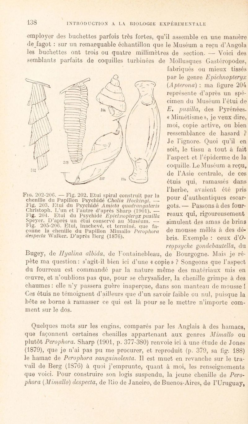 employer des bûchettes parfois très fortes, qu’il assemble en une manière dejagot : sur un remarquable échantillon que le Muséum a reçu d’Angola les bûchettes ont trois ou quatre millimètres de section. — Voici des semblants parfaits de coquilles turbinées de Mollusques Gastéropodes, fabriqués ou mieux tissés par le genre Epichnopteryx (.Apterona) : ma figure 204 représente d’après un spé- cimen du Muséum l’étui de E. pusilla, des Pyrénées. « Mimétisme », je veux dire, moi, copie active, ou bien ressemblance de hasard ? Je l’ignore. Quoi qu’il en soit, le tissu a tout à fait l’aspect et l’épiderme de la coquille. Le Muséum a reçu, de l’Asie centrale, de ces étuis qui, ramassés dans l’herbe, avaient été pris pour d’authentiques escar- gots. — Passons à des four- reaux qui, rigoureusement simulent des amas de brins de mousse mêlés à des dé- bris. Exemple : ceux d’U- reopsyche gondebautella, du de Bourgogne. Mais je ré- pète ma question: s’agit-il bien ici d’une «copie» ? Songeons que l’aspect du fourreau est commandé par la nature même des matériaux mis en œuvre, et n’oublions pas que, pour se chrysalider, la chenille grimpe à des chaumes: elle n’y passera guère inaperçue, dans son manteau de mousse ! Ces étuis ne témoignent d’ailleurs que d’un savoir faible ou nul, puisque la bête se borne à ramasser ce qui est là pour se le mettre n’importe com- ment sur le dos. Quelques mots sur les engins, comparés par les Anglais à des hamacs, que façonnent certaines chenilles appartenant aux genres Mimallo ou plutôt Perophora. Sharp (1901, p. 377-380) renvoie ici à une étude de Jones (1879), que je n’ai pas pu me procurer, et reproduit (p. 379, sa figf. 188) le hamac de Perophora sangainolenta. Il est muet en revanche sur le tra- vail de Berg (1S76) à quoi j’emprunte, quant à moi, les renseignements que voici. Pour construire son logis suspendu, la jeune chenille de Pero- phora (Mimallo) despecta, de Rio de Janeiro, de Buenos-Aires, de l’Uruguay, Fig. 202-206. — Fig. 202. Etui spiral construit par la chenille du Papillon Psychidé Chalia Hockingi. — Fig. 203. Etui du Psychidé Amicta quadrangularis Christoph. L’un et l’autre d’après Sharp (1901). — Fig. 204. Etui du Psychidé Epichnopteryx pusilla Speyer. D’après un étui conservé au Muséum. —- Fig. 205-206. Etui, inachevé, et terminé, que fa- çonne la chenille du Papillon Mimallo Perophora despecta Walker. D’après Berg (1876). Bugey, de Hyalina albida, de Fontainebleau,